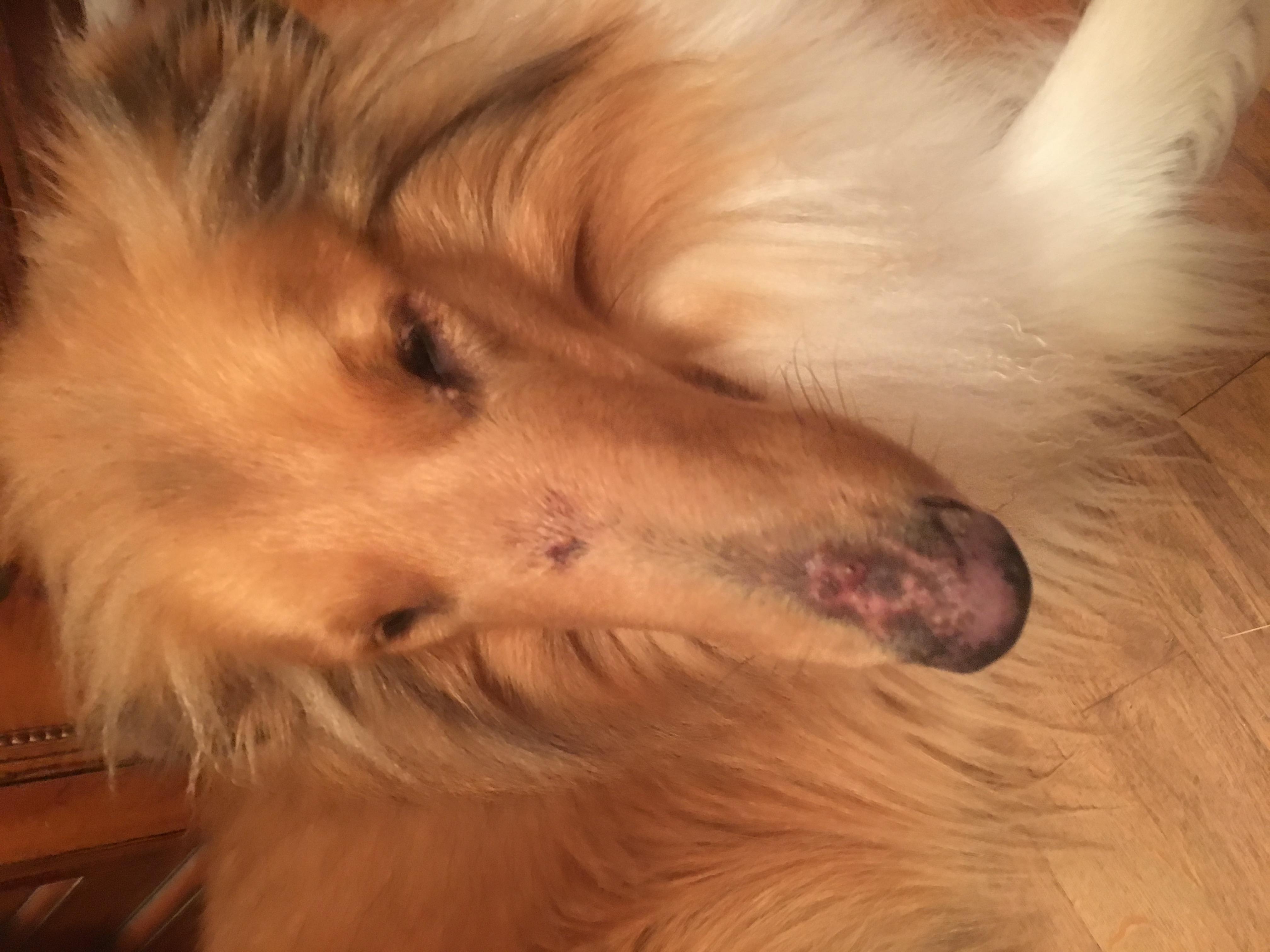 Question details sensitive content