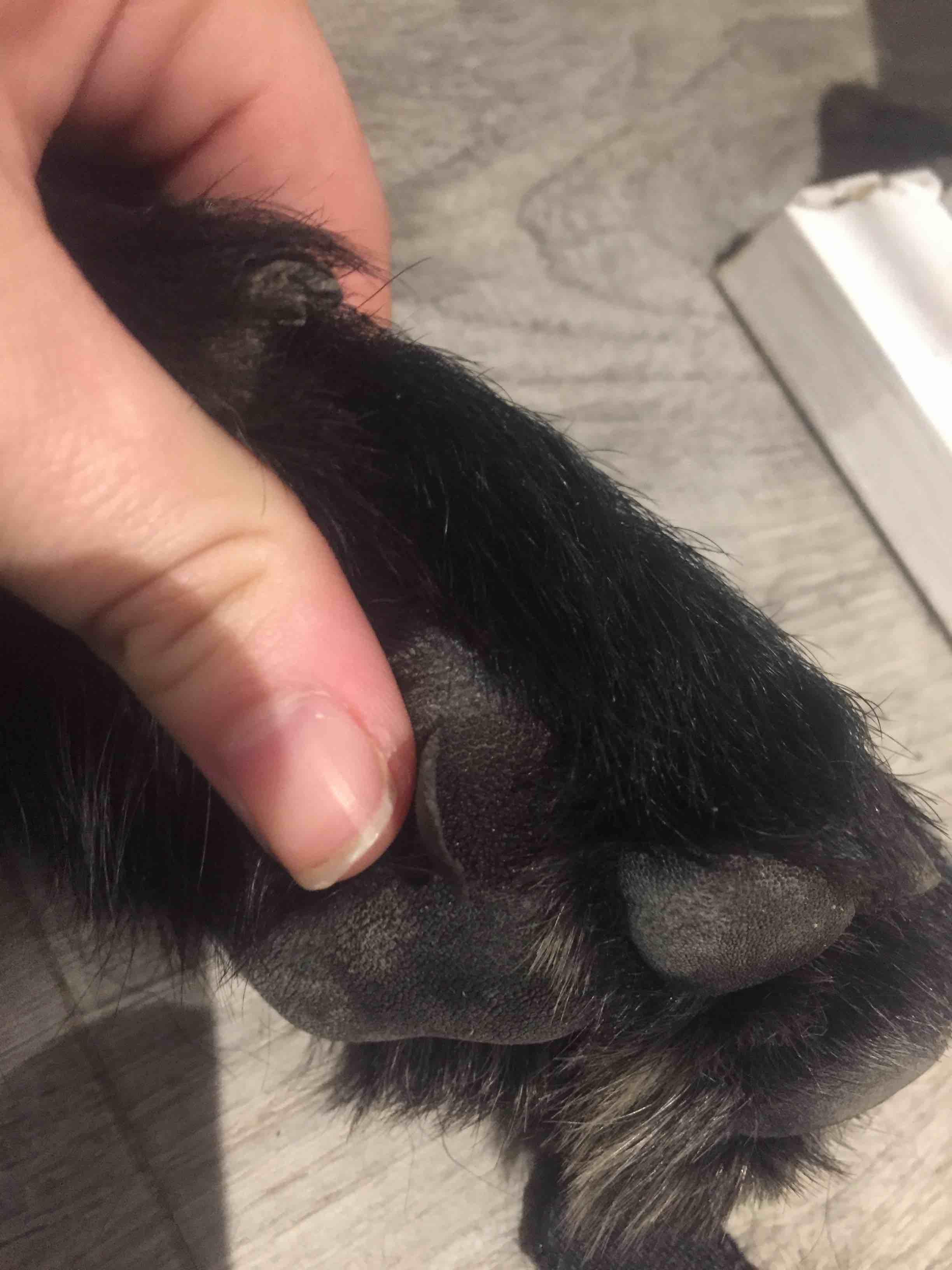 Question details sensitive content