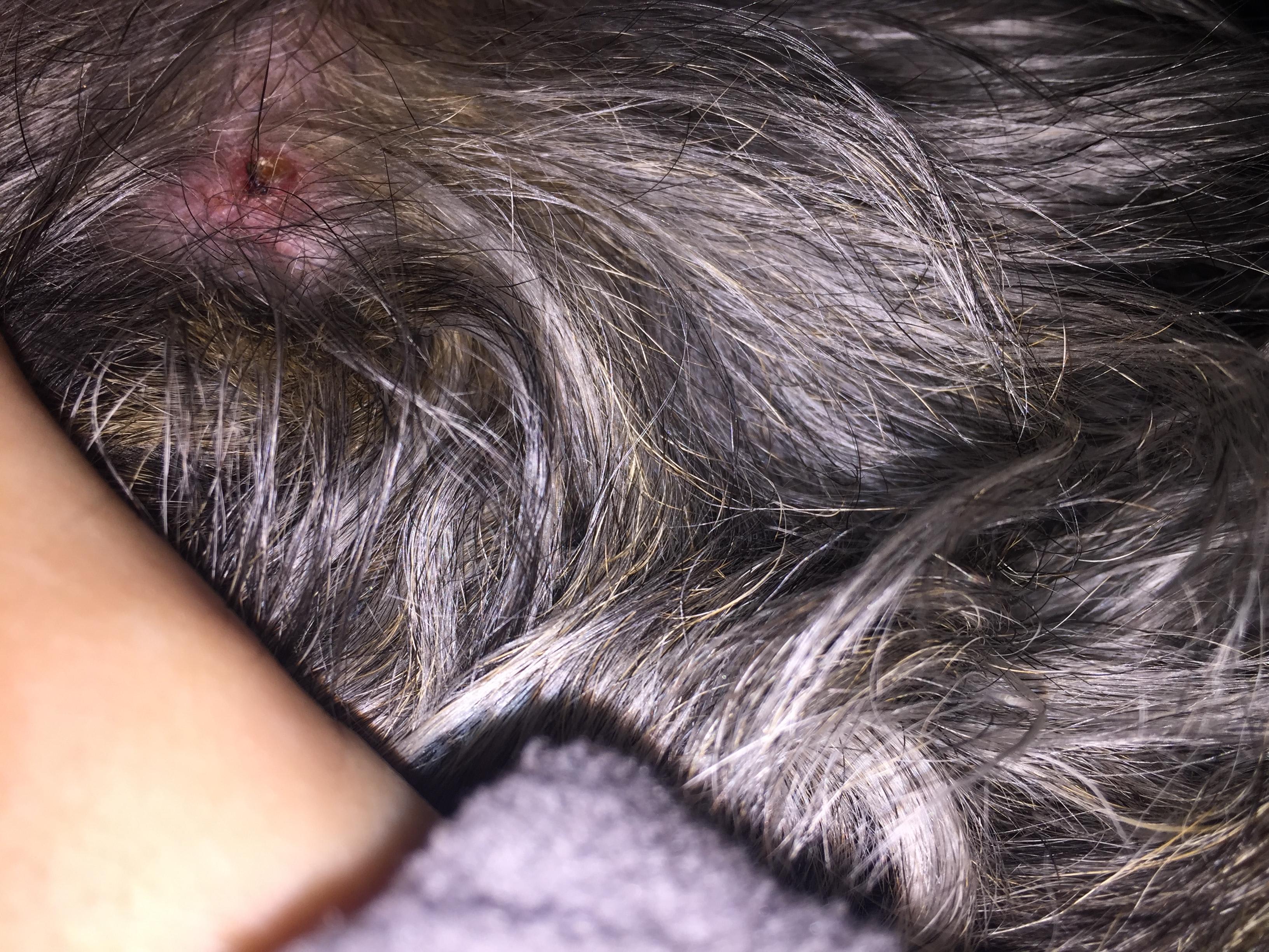 Question details sensitive content