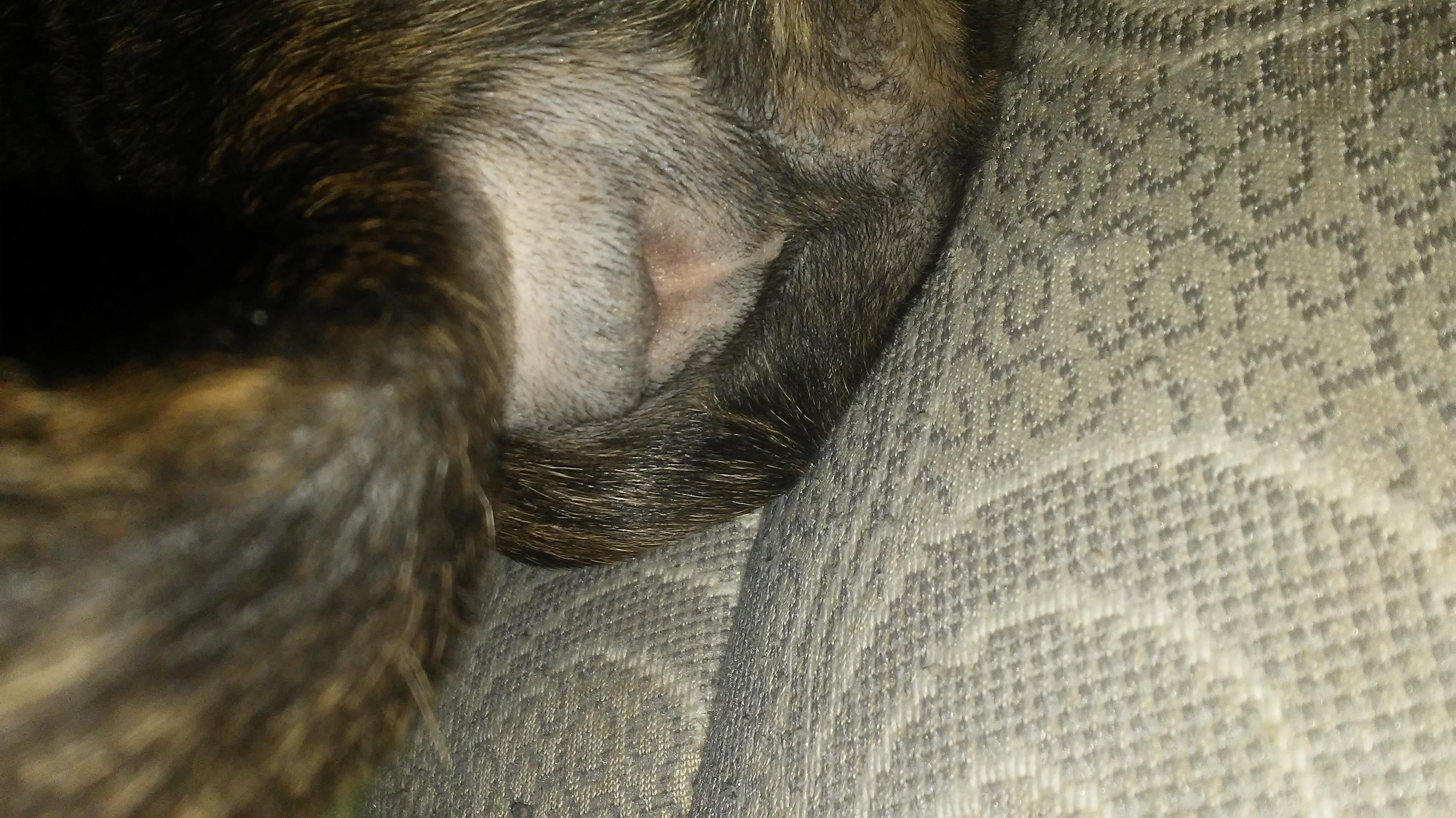 Question details sensitive content