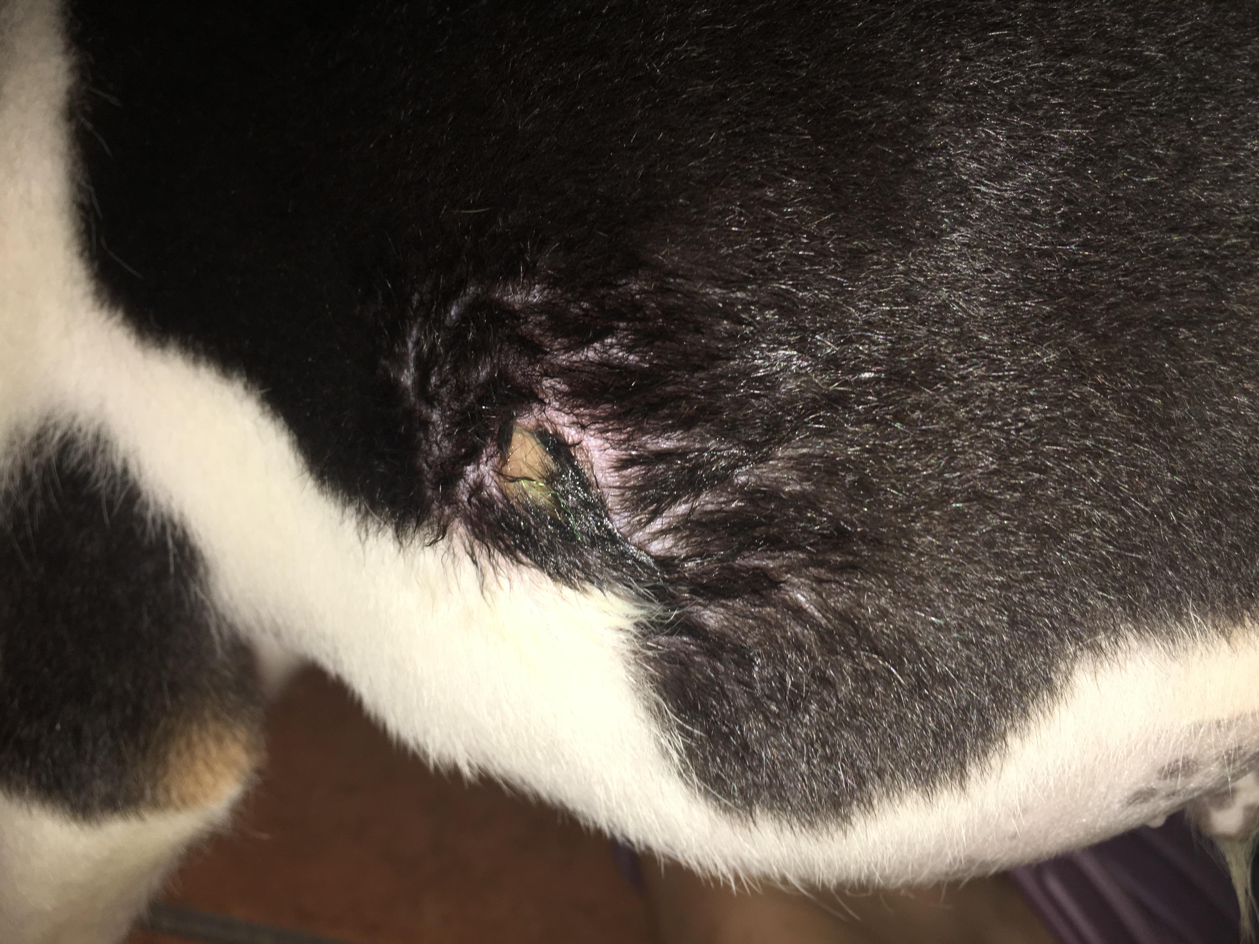 Question details sensitive content