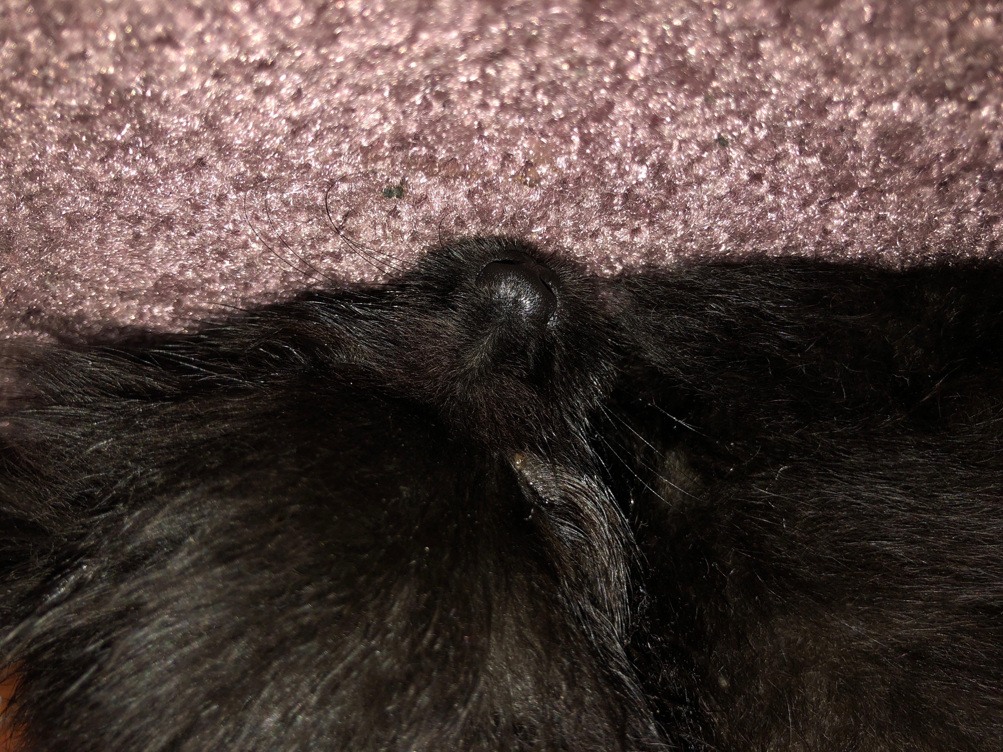 Question details sensitive content