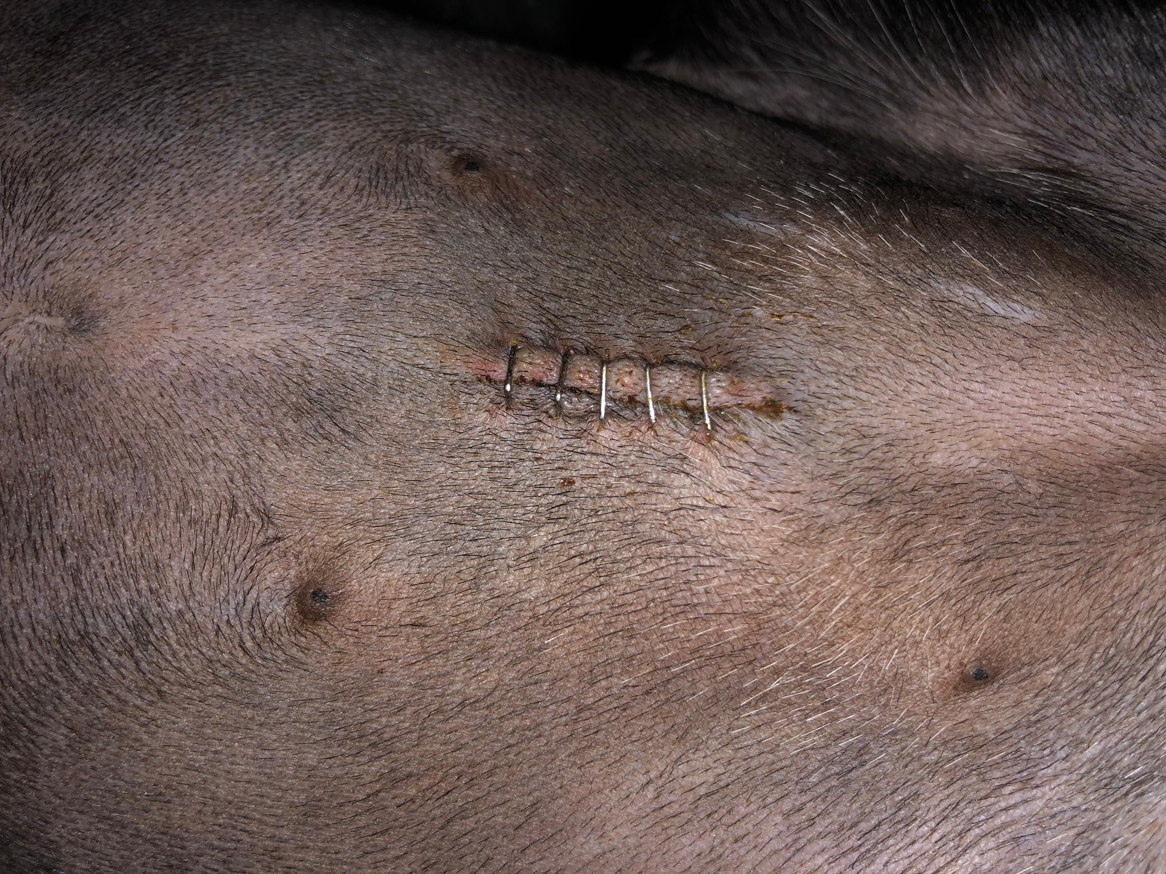 Question details sensitive content