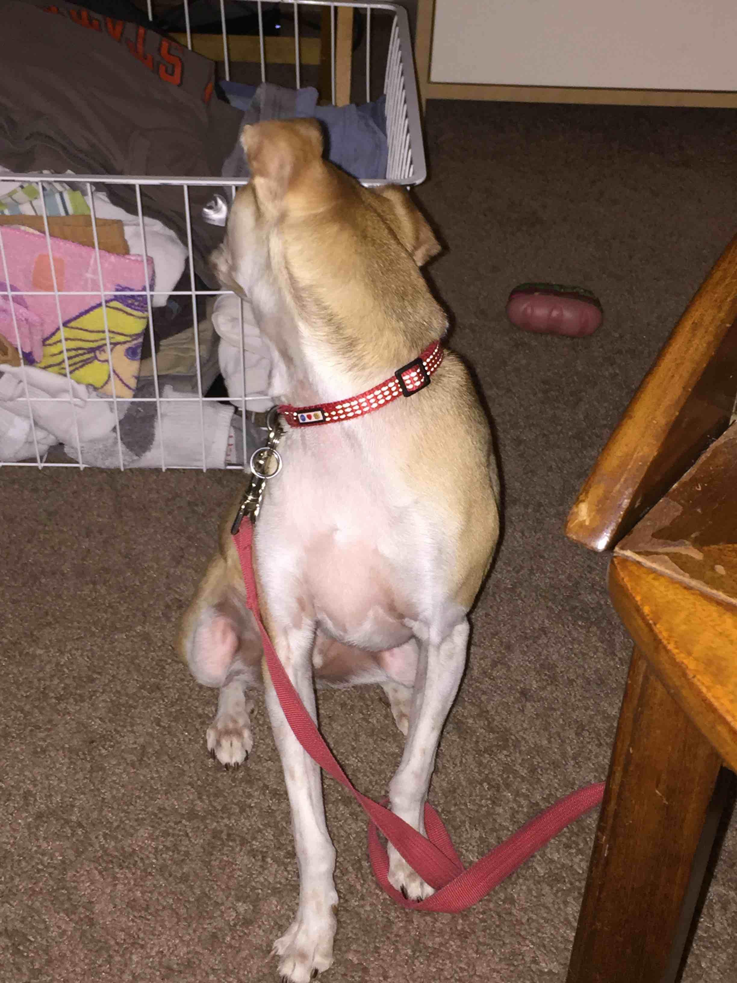 Question details sensitive content