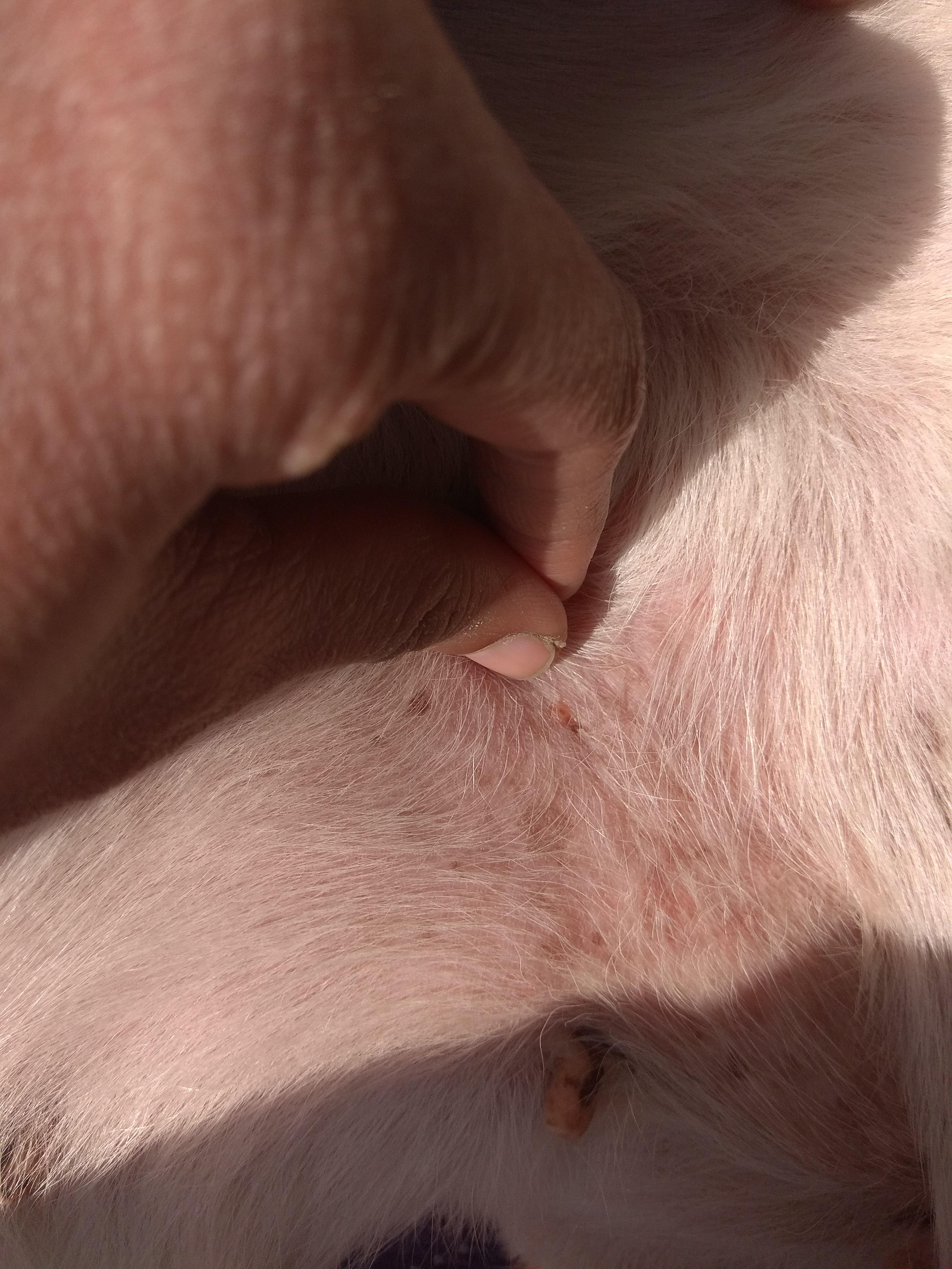 Question details sensitive content