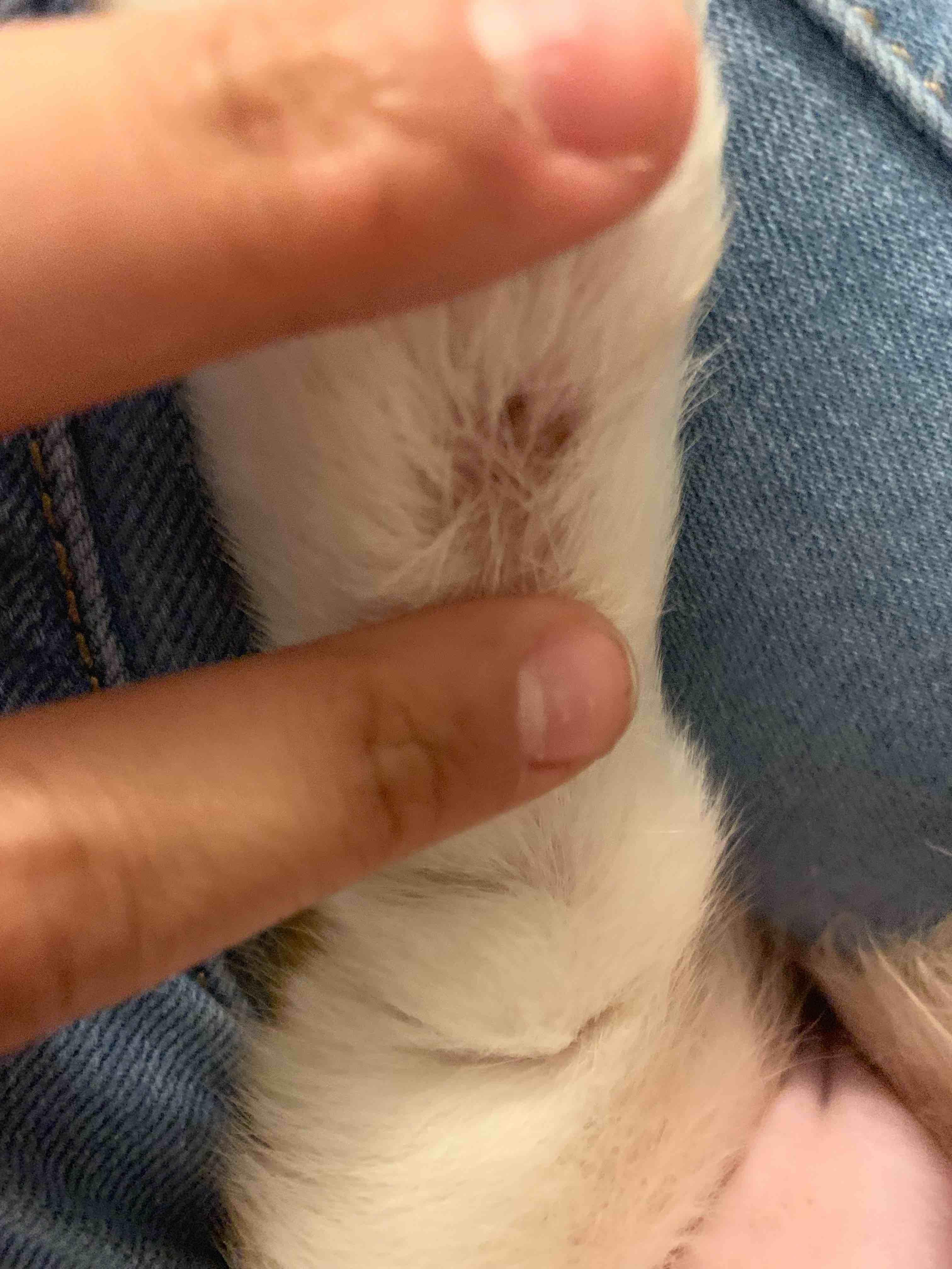 Question details sensitive content