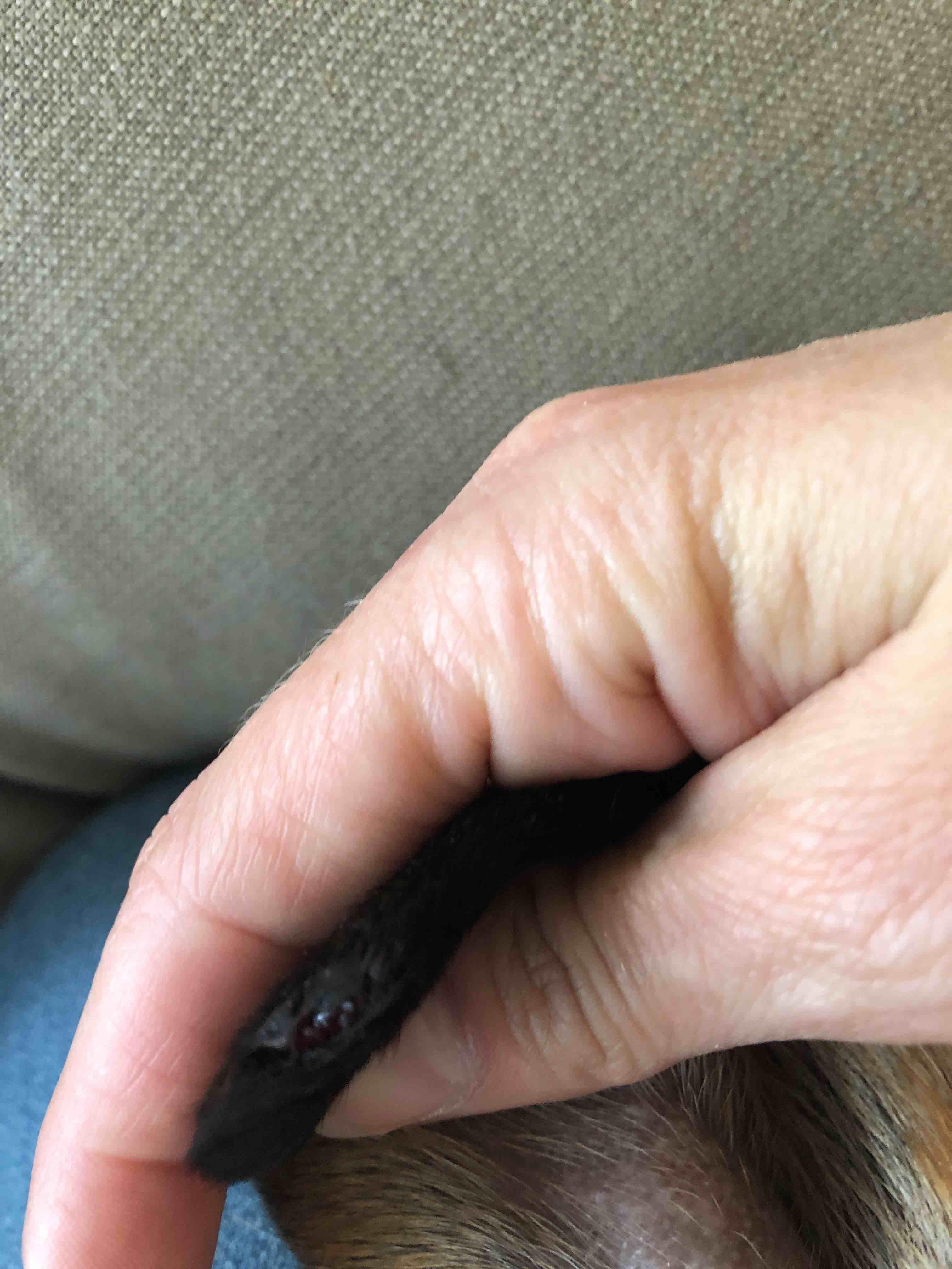 Question details sensitive content