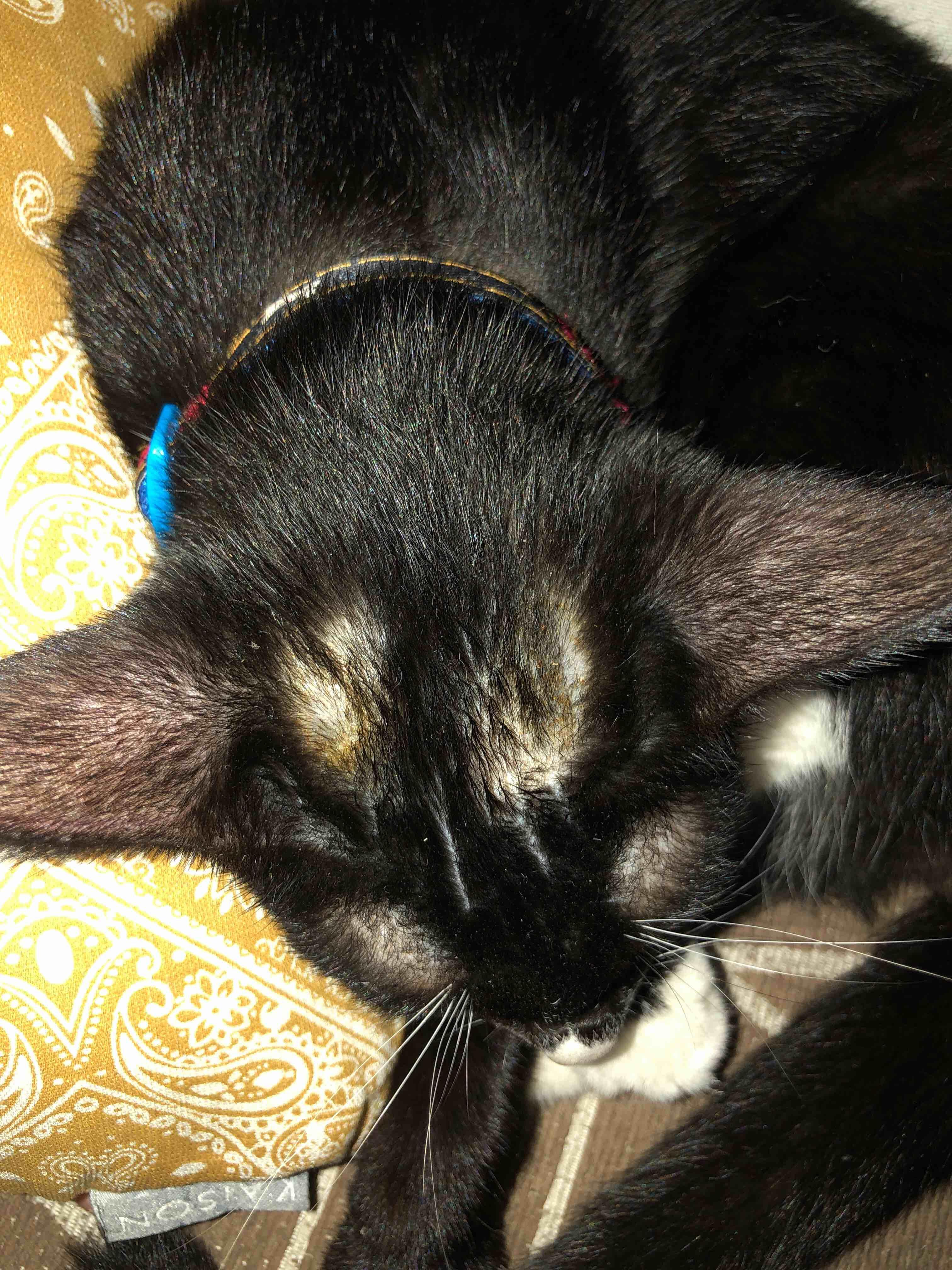 Question details sensitive content