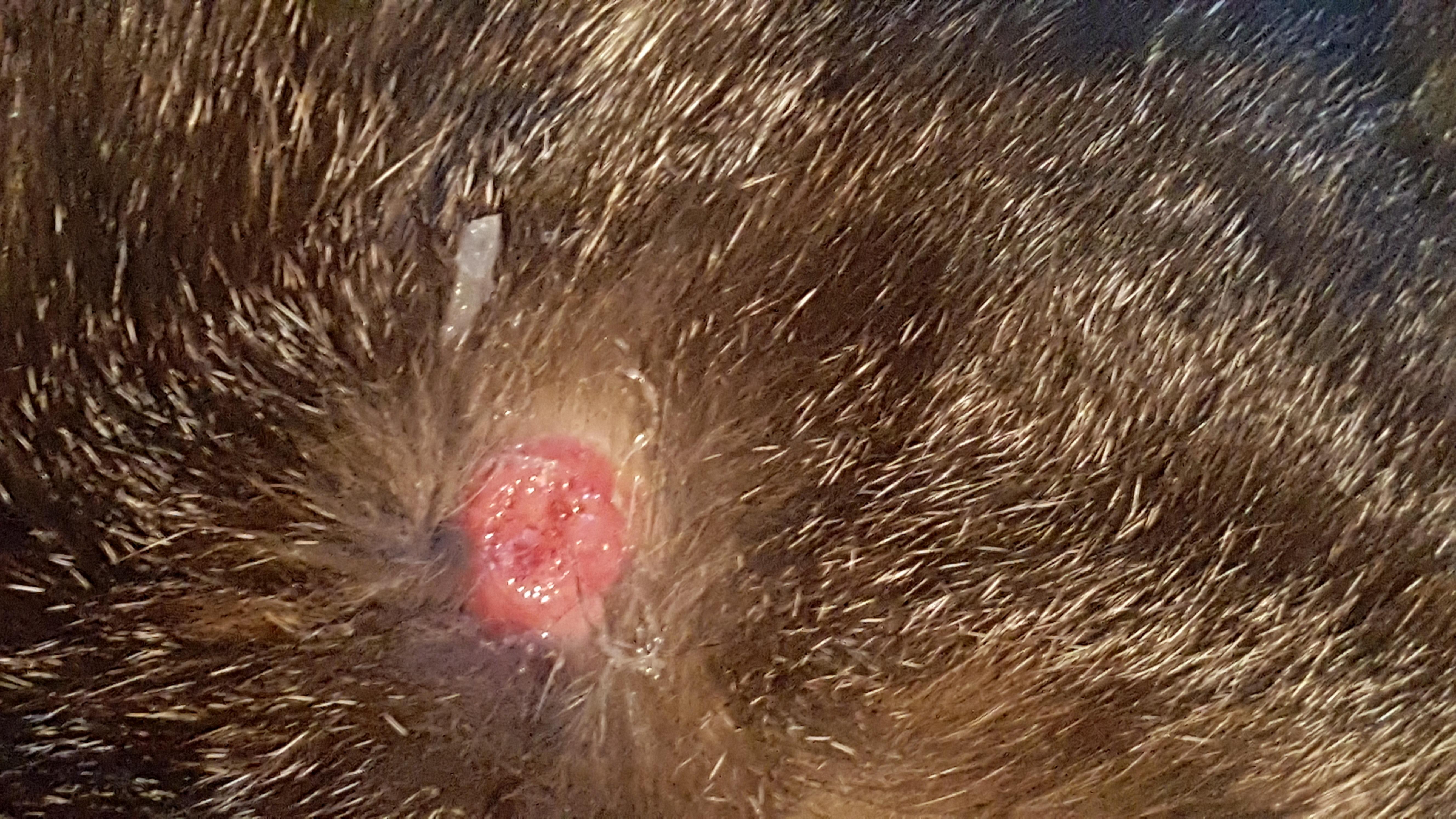 Question details sensitive content