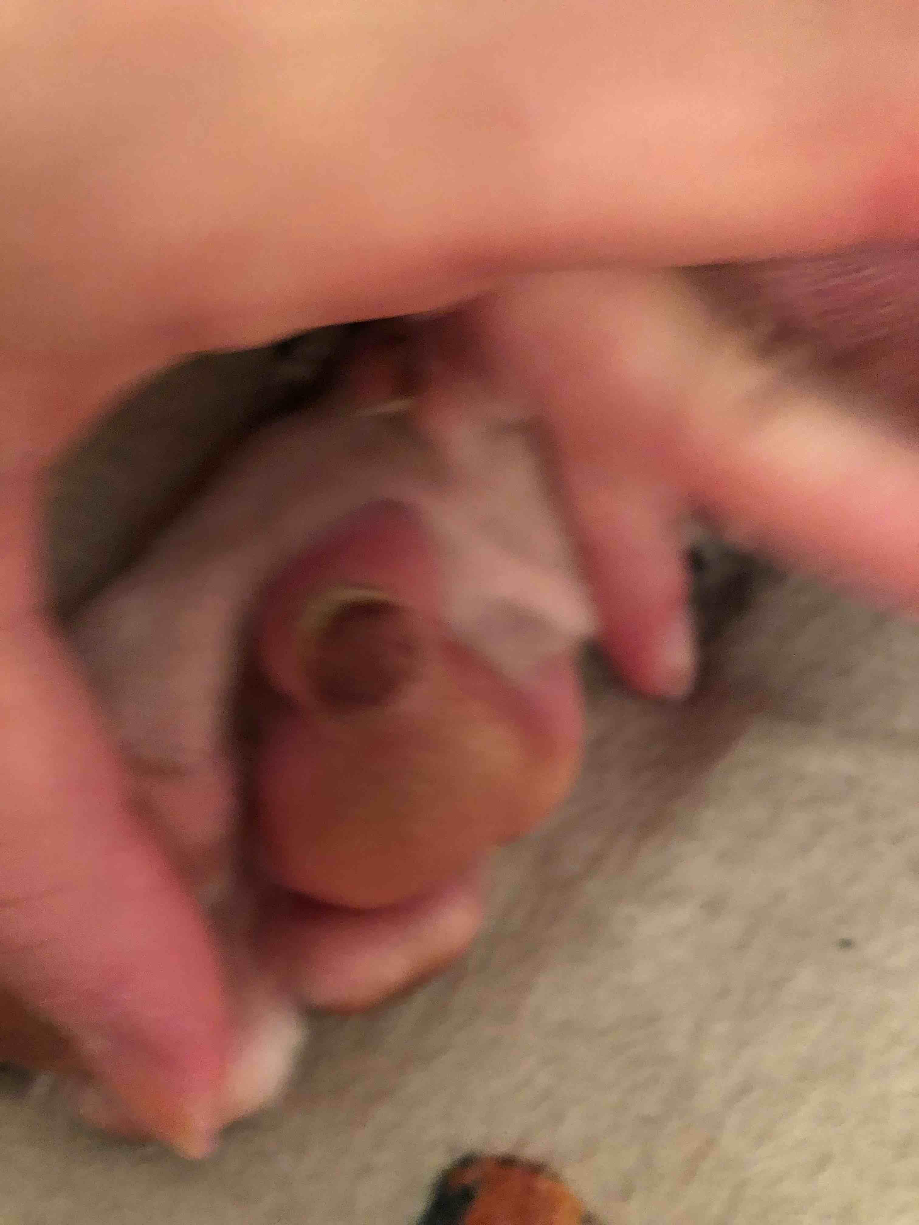 Question details sensitive content