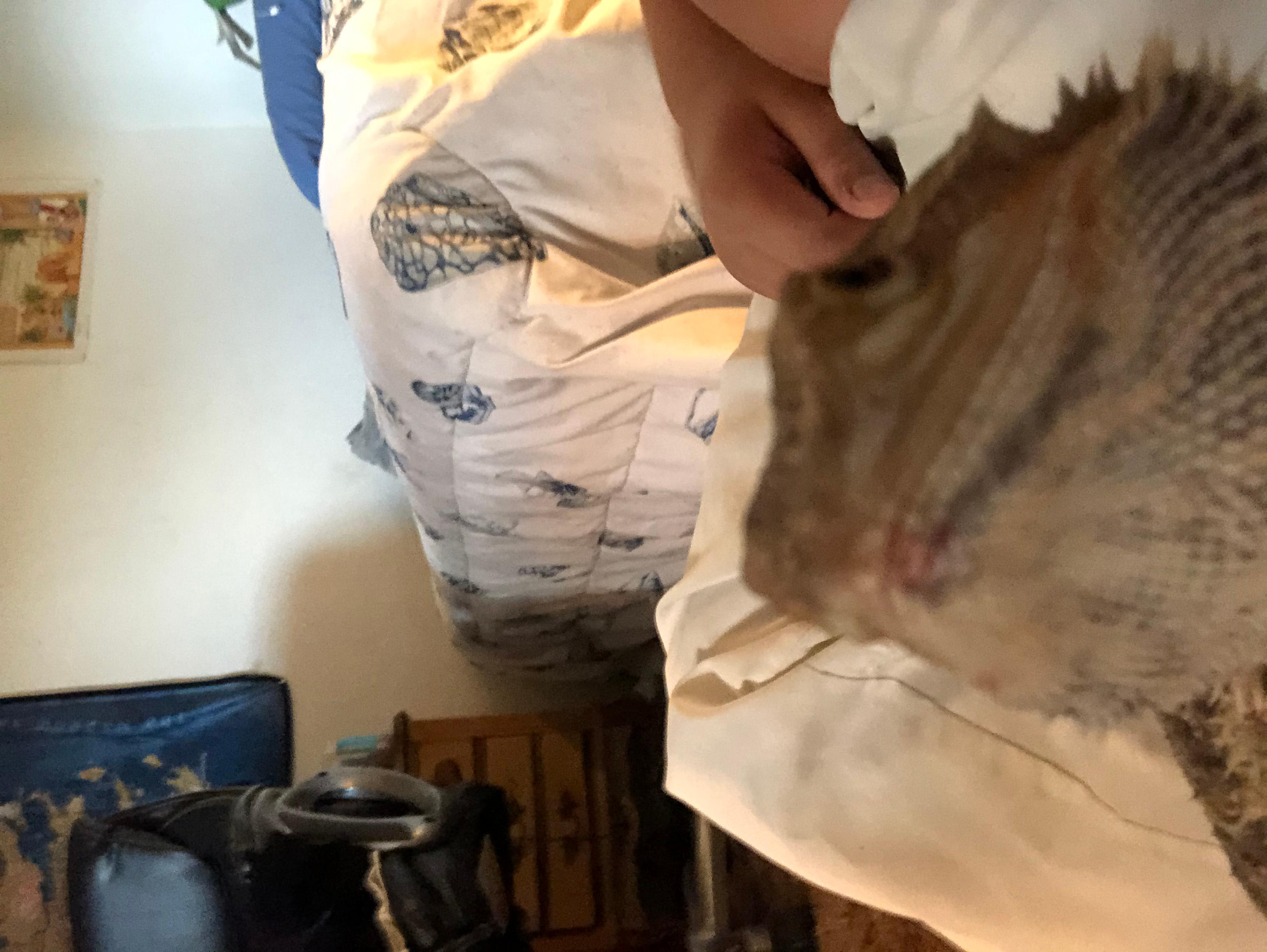 Question details sensitive content