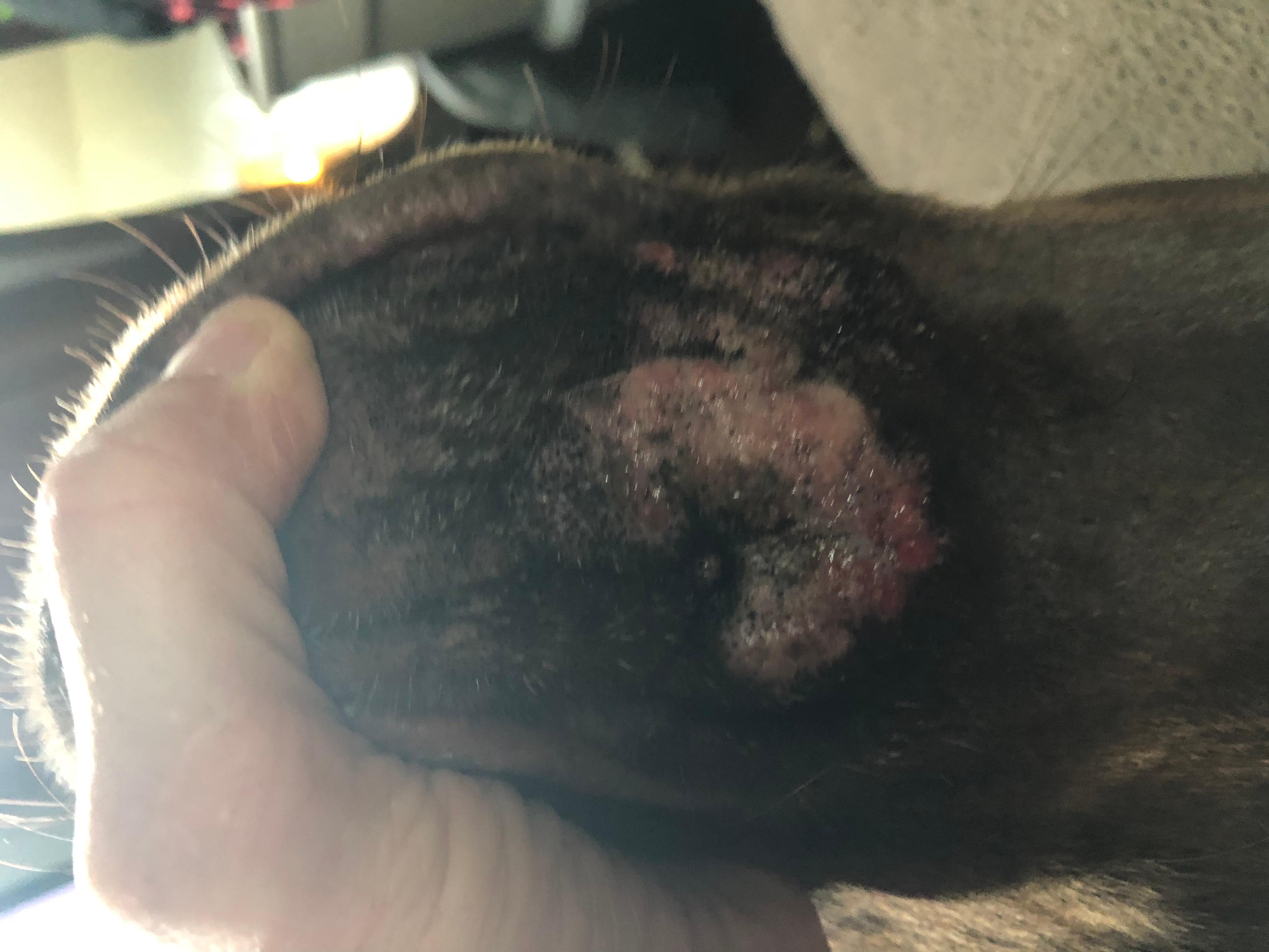 Question details sensitive content