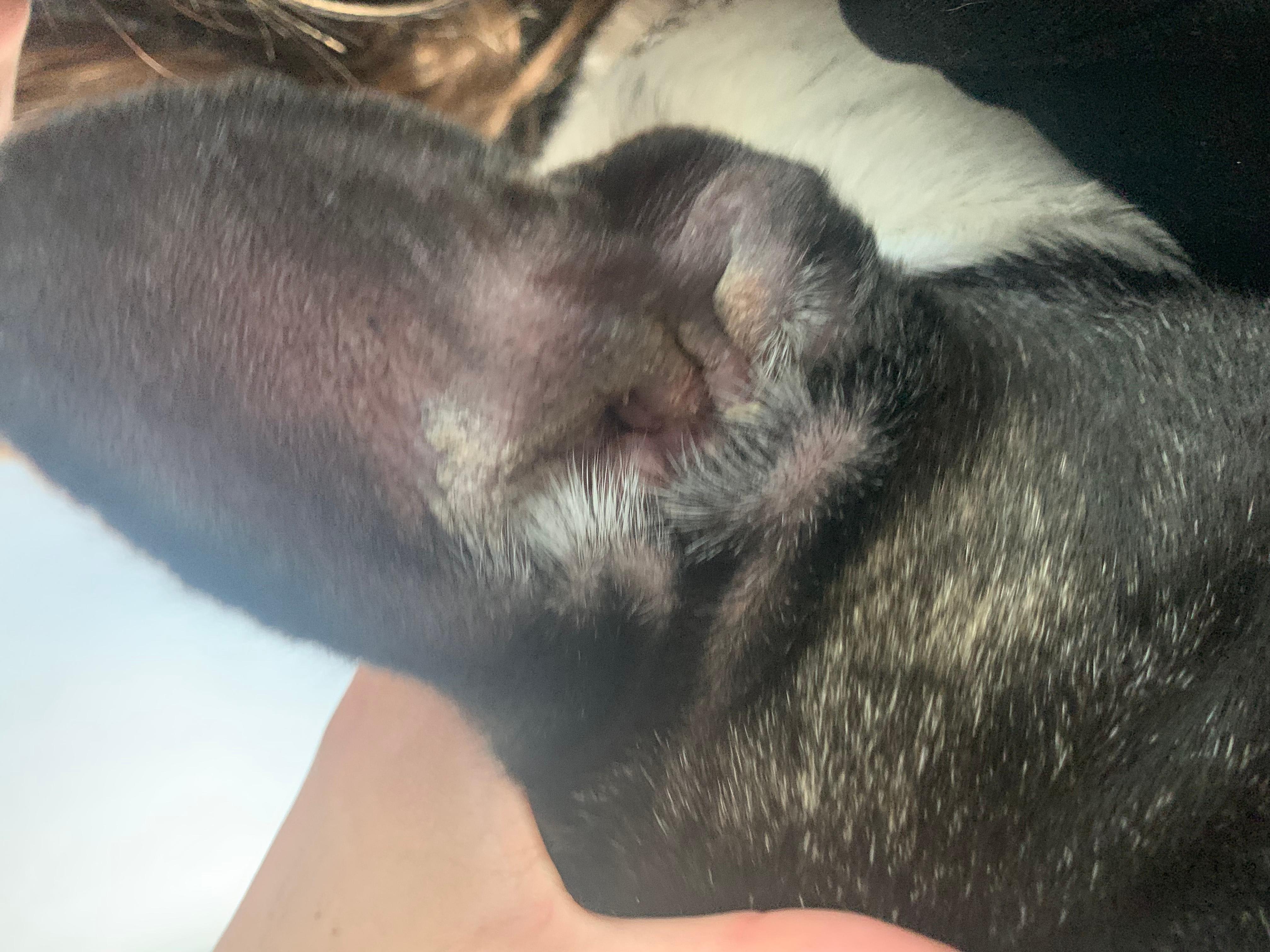 Question details sensitive content