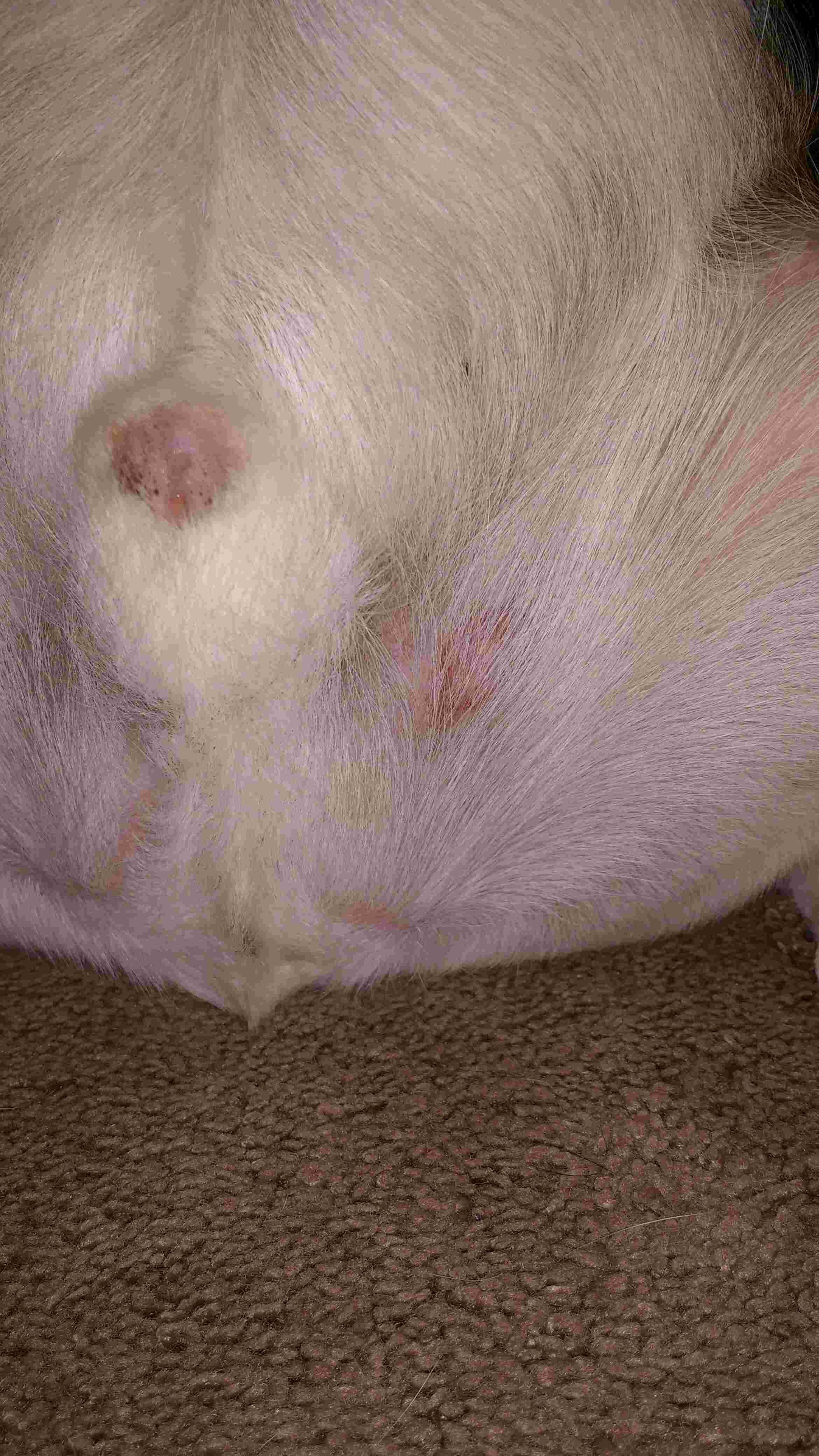 Question details sensitive content