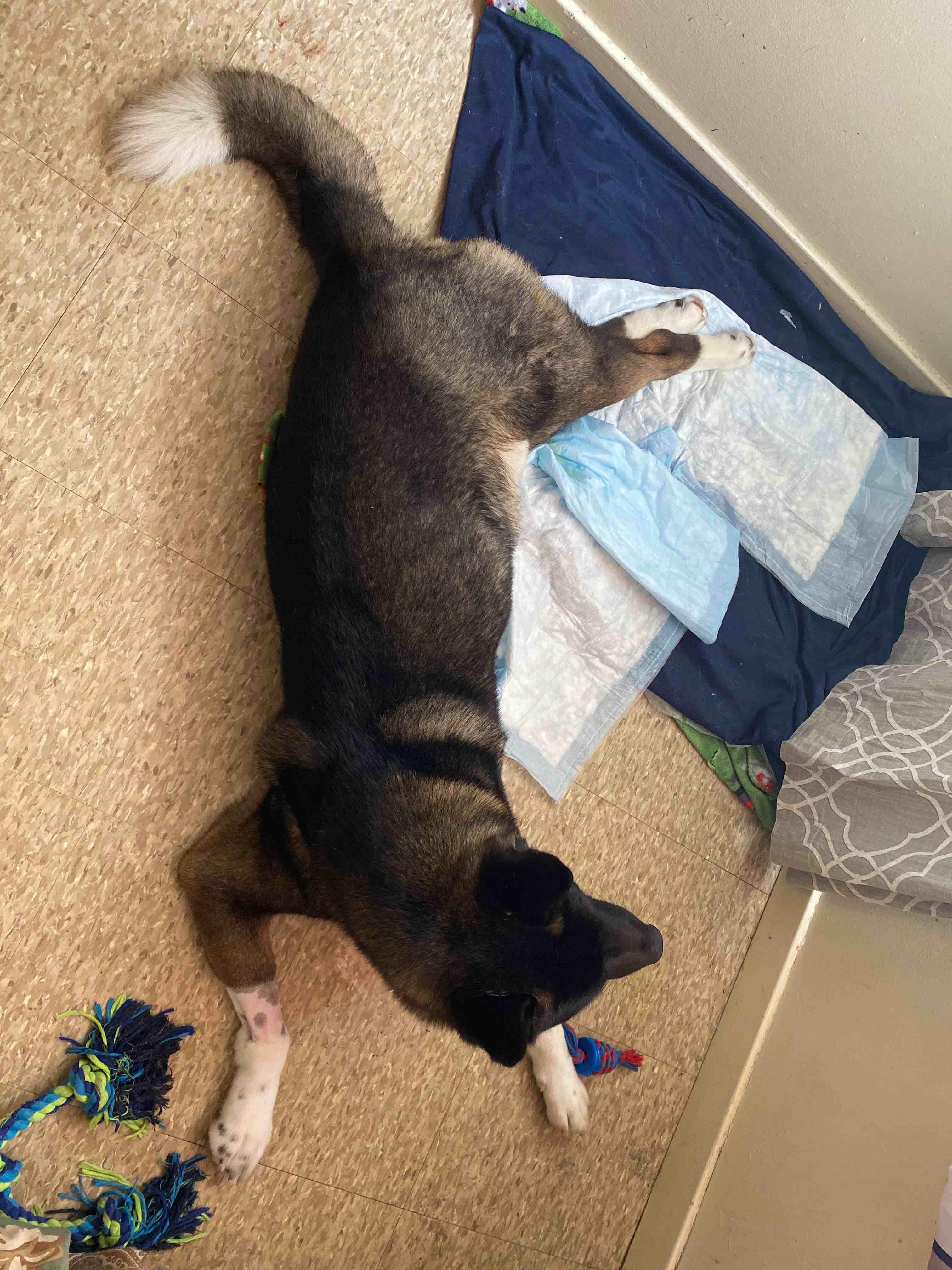 Question details sensitive content