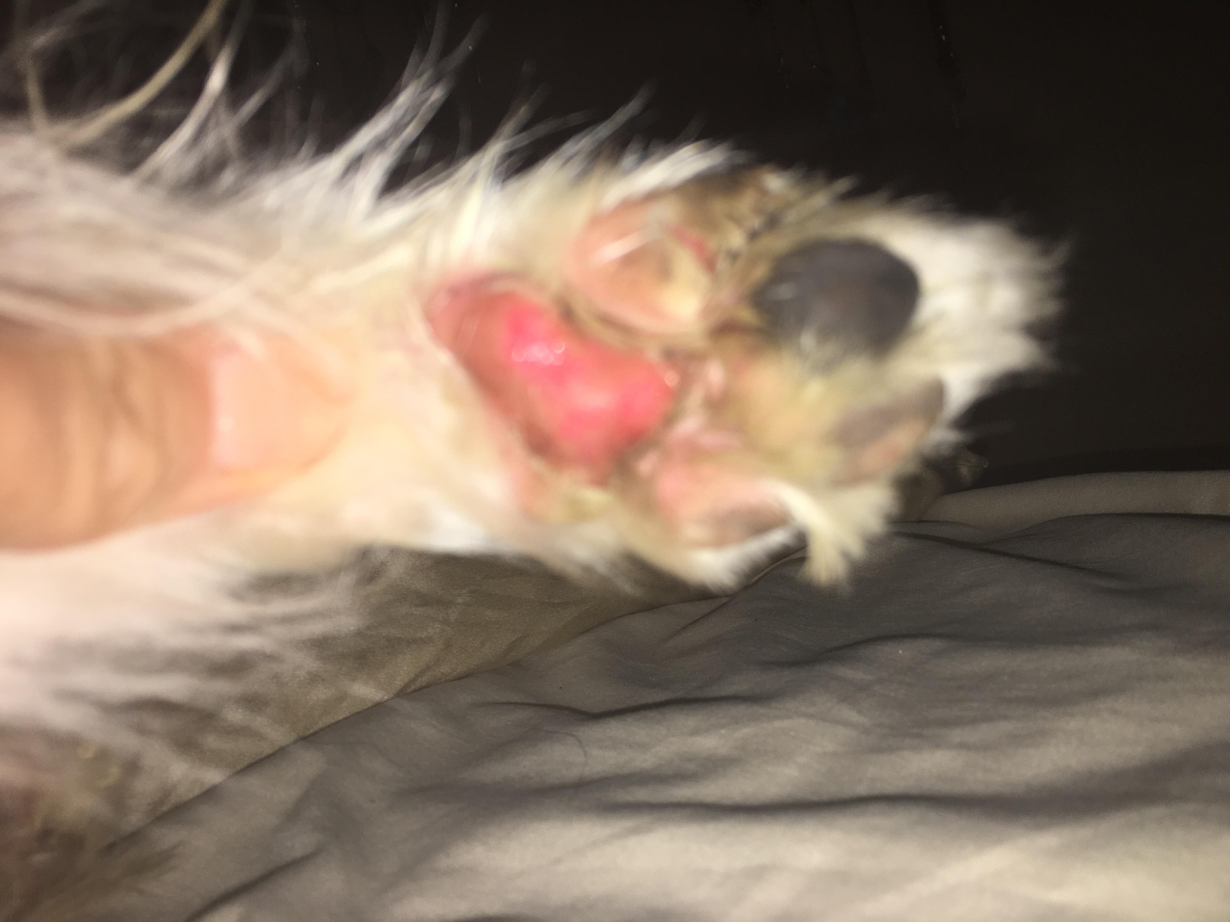 Question details sensitive content