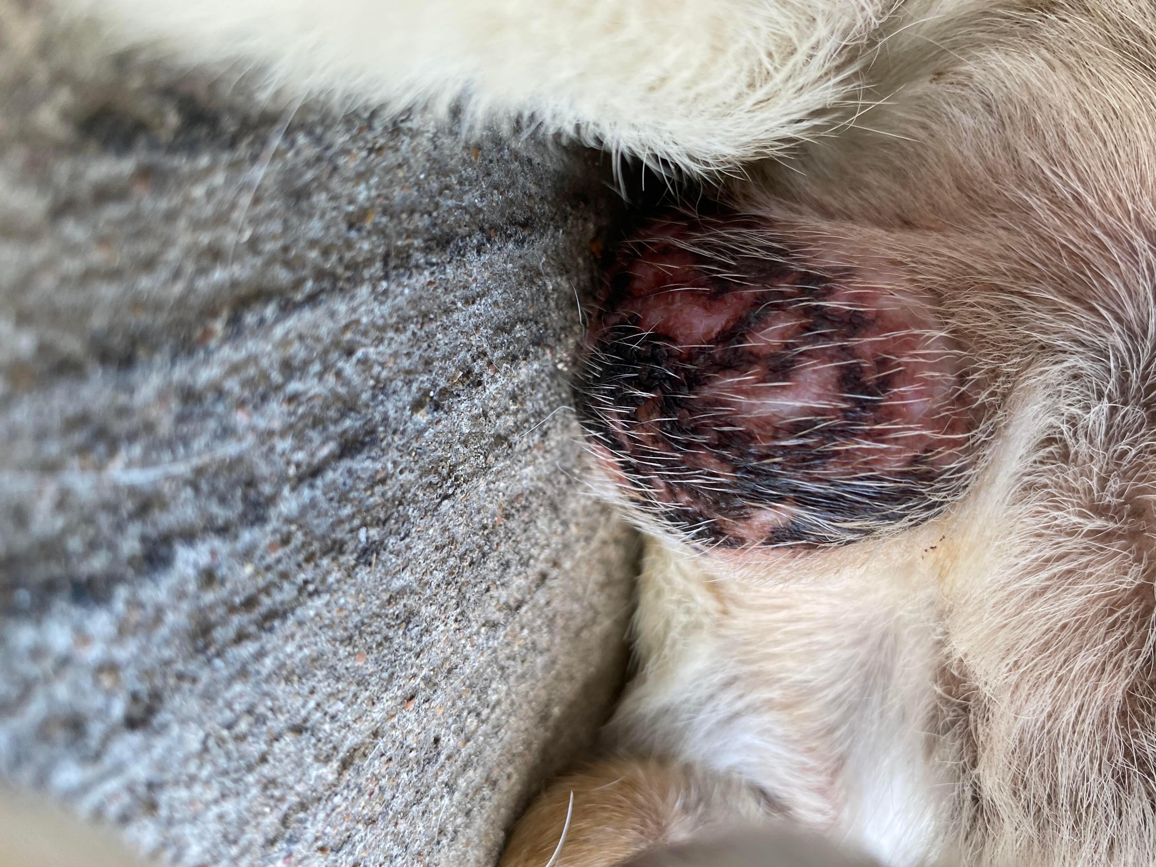 Question details sensitive content