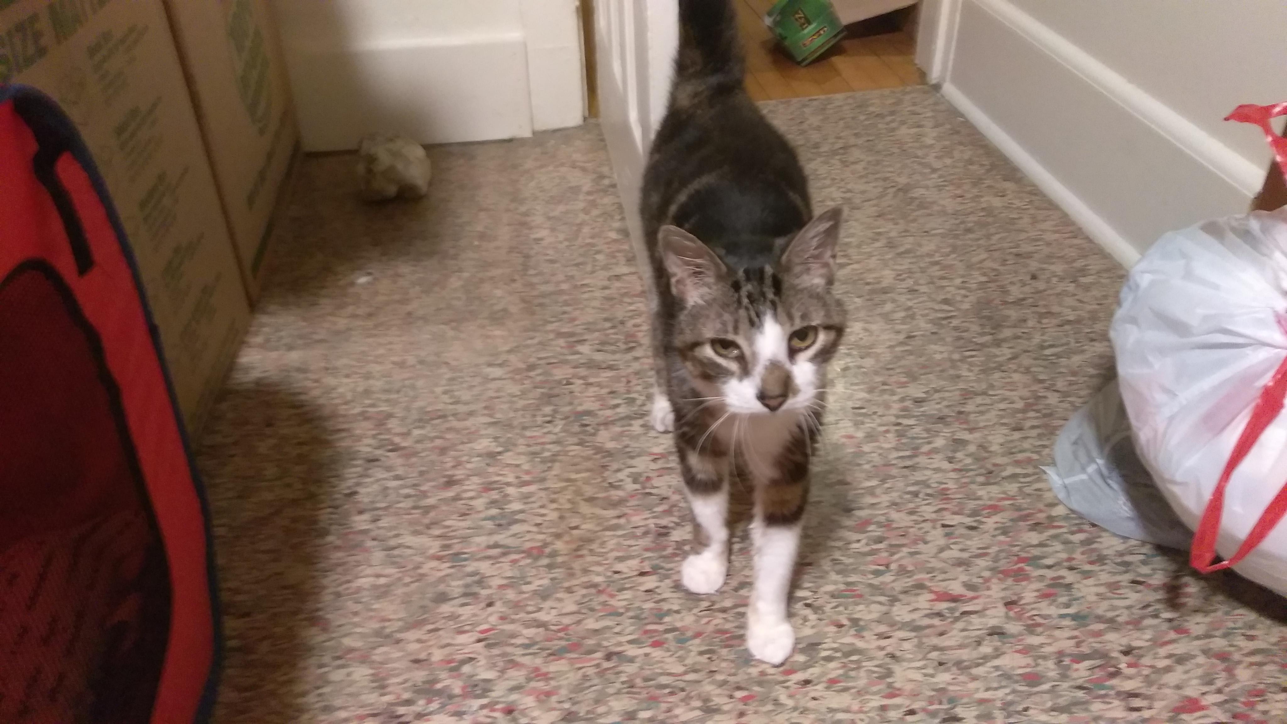 Question details sensitive content