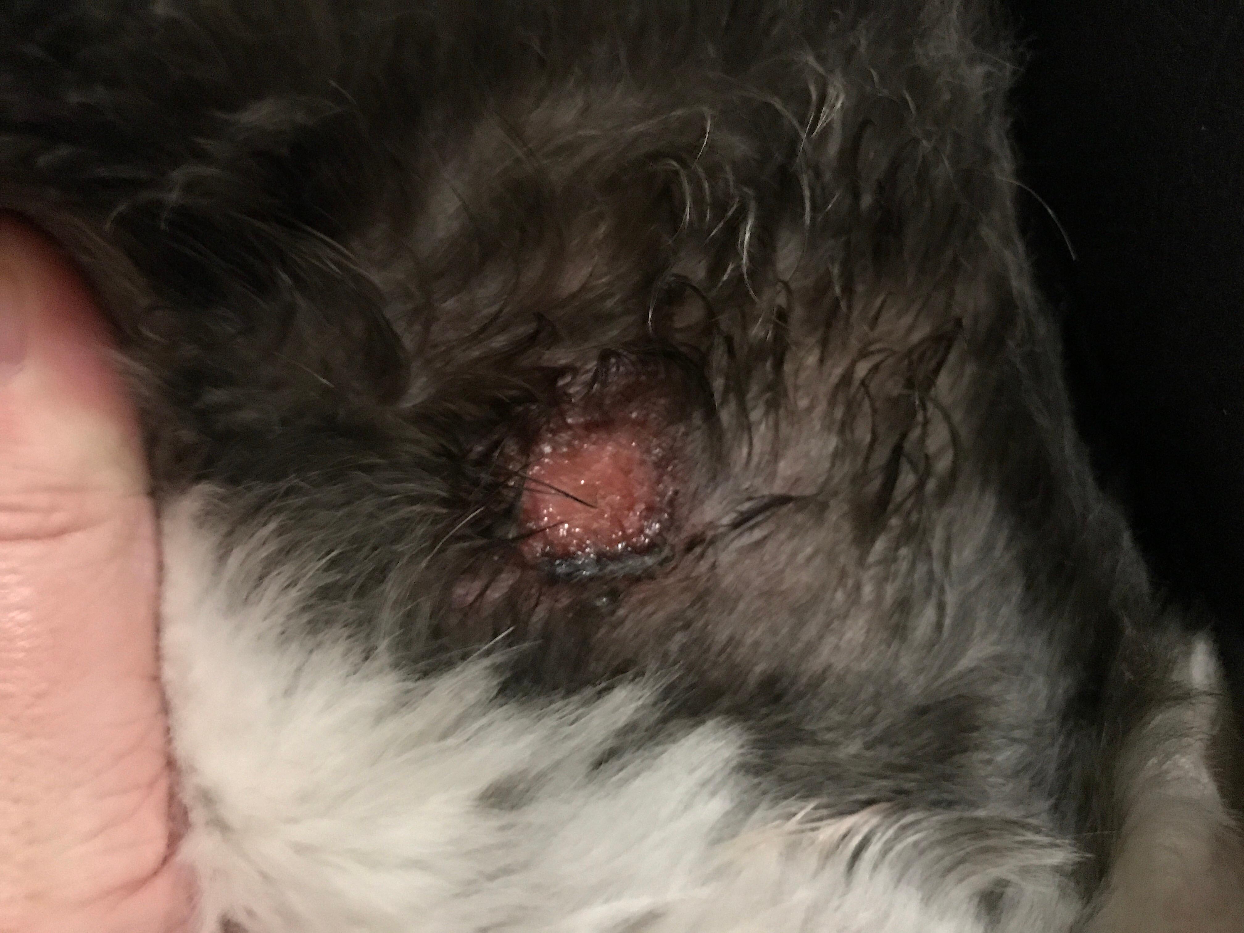 Question details sensitive content