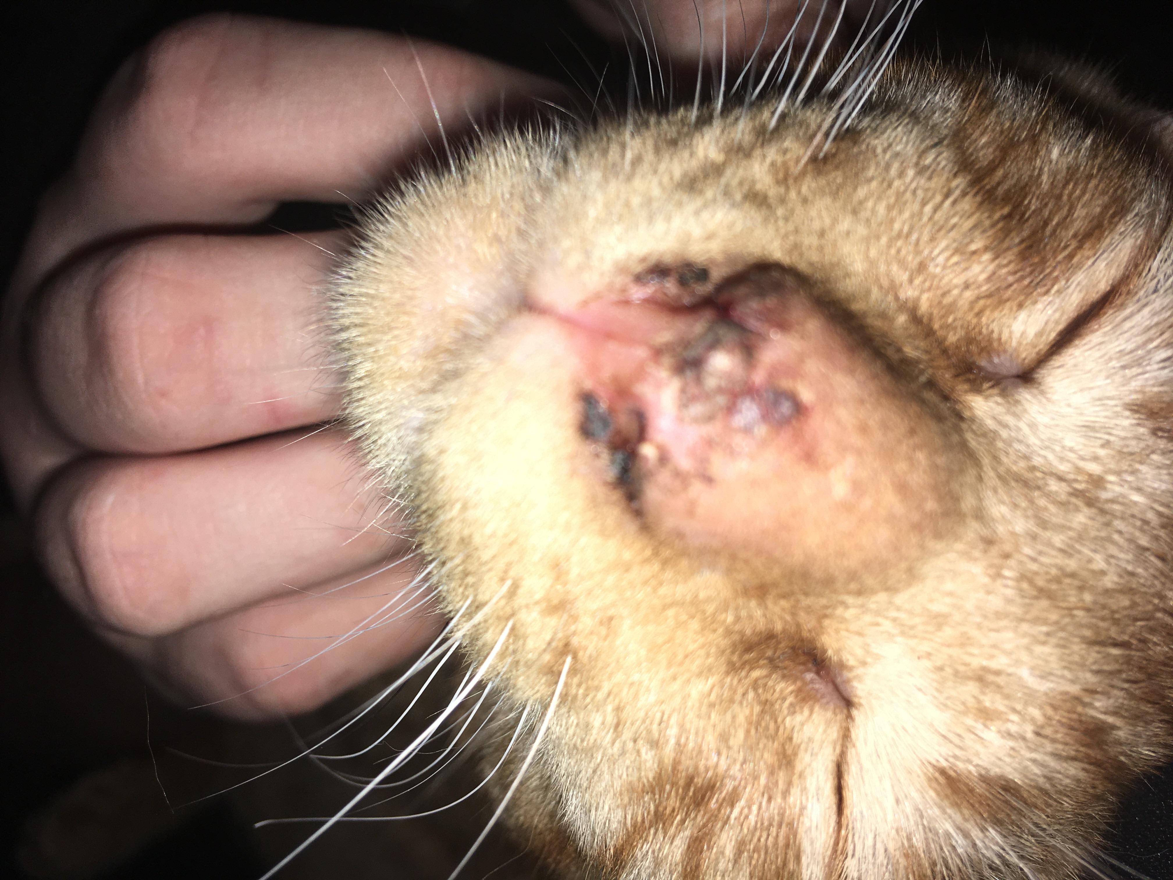 Question details sensitive content