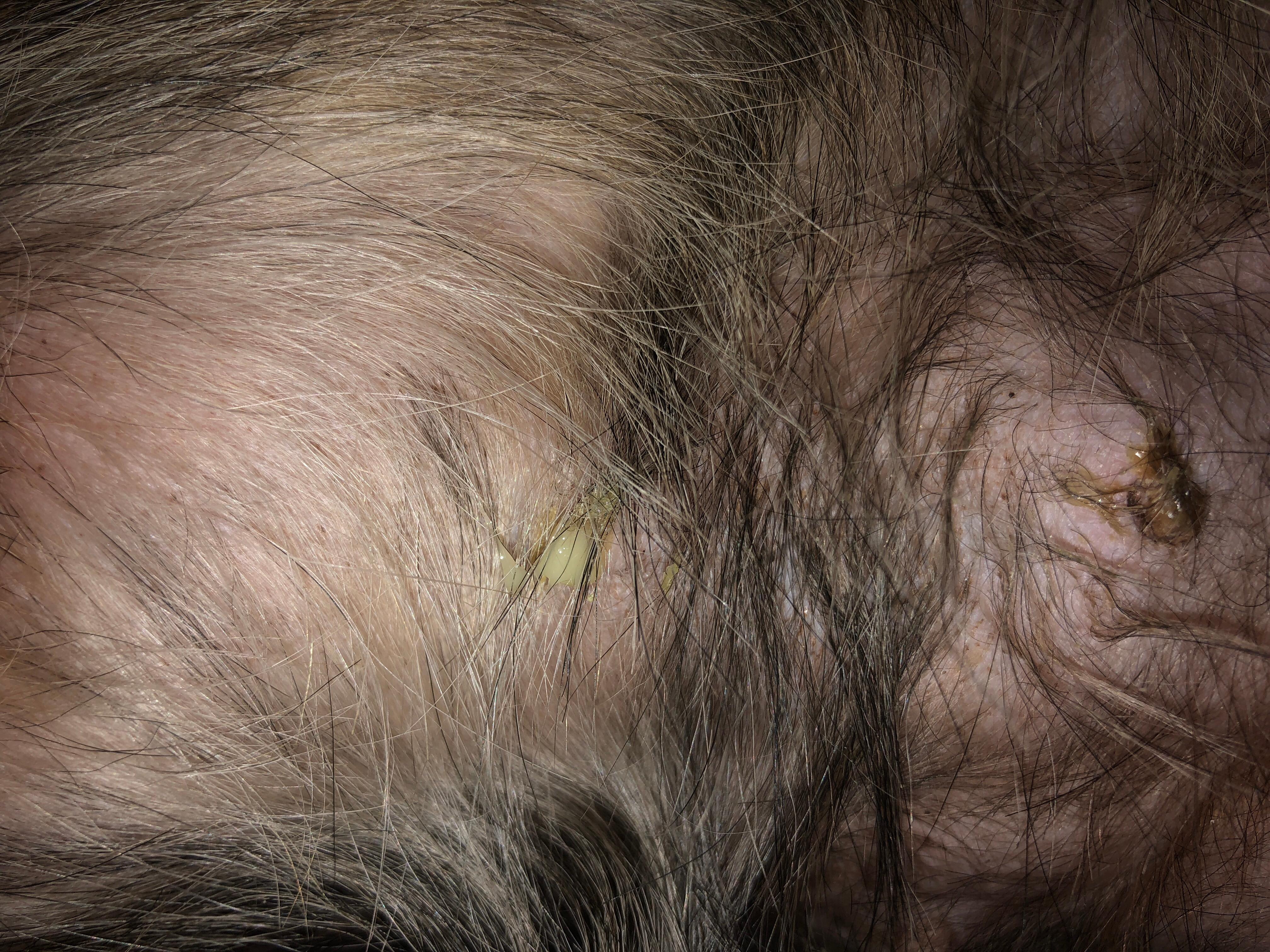 Question details sensitive content