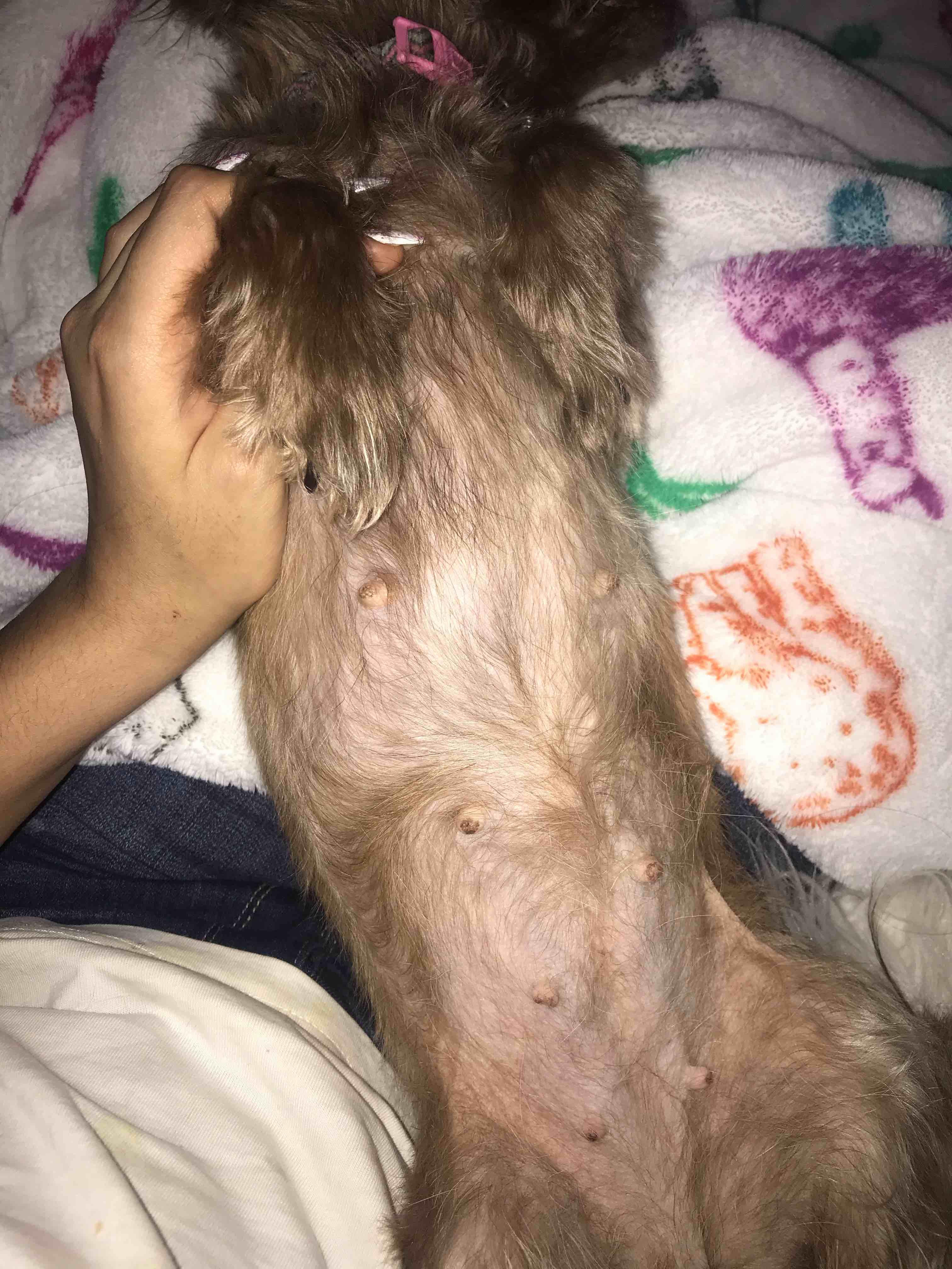 Question details sensitive content