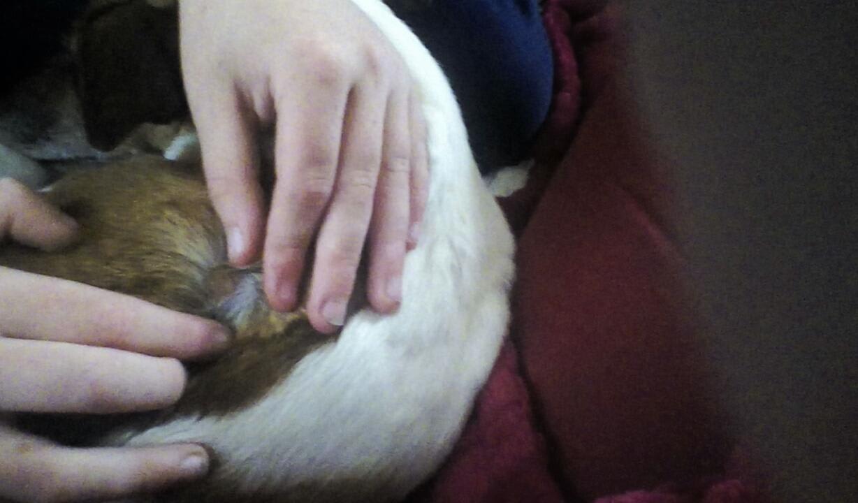 Question details sensitive content