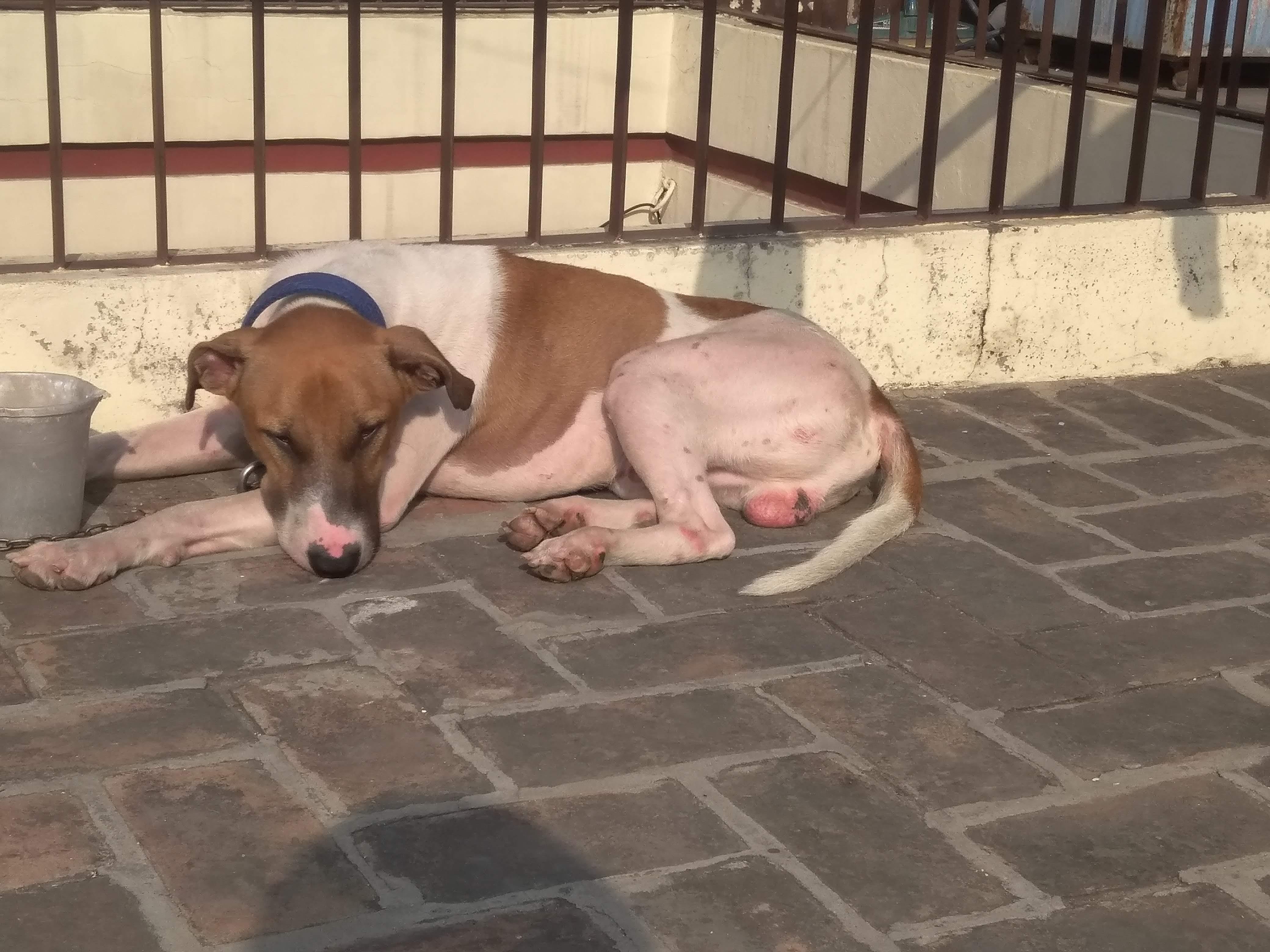 Question details sensitive content