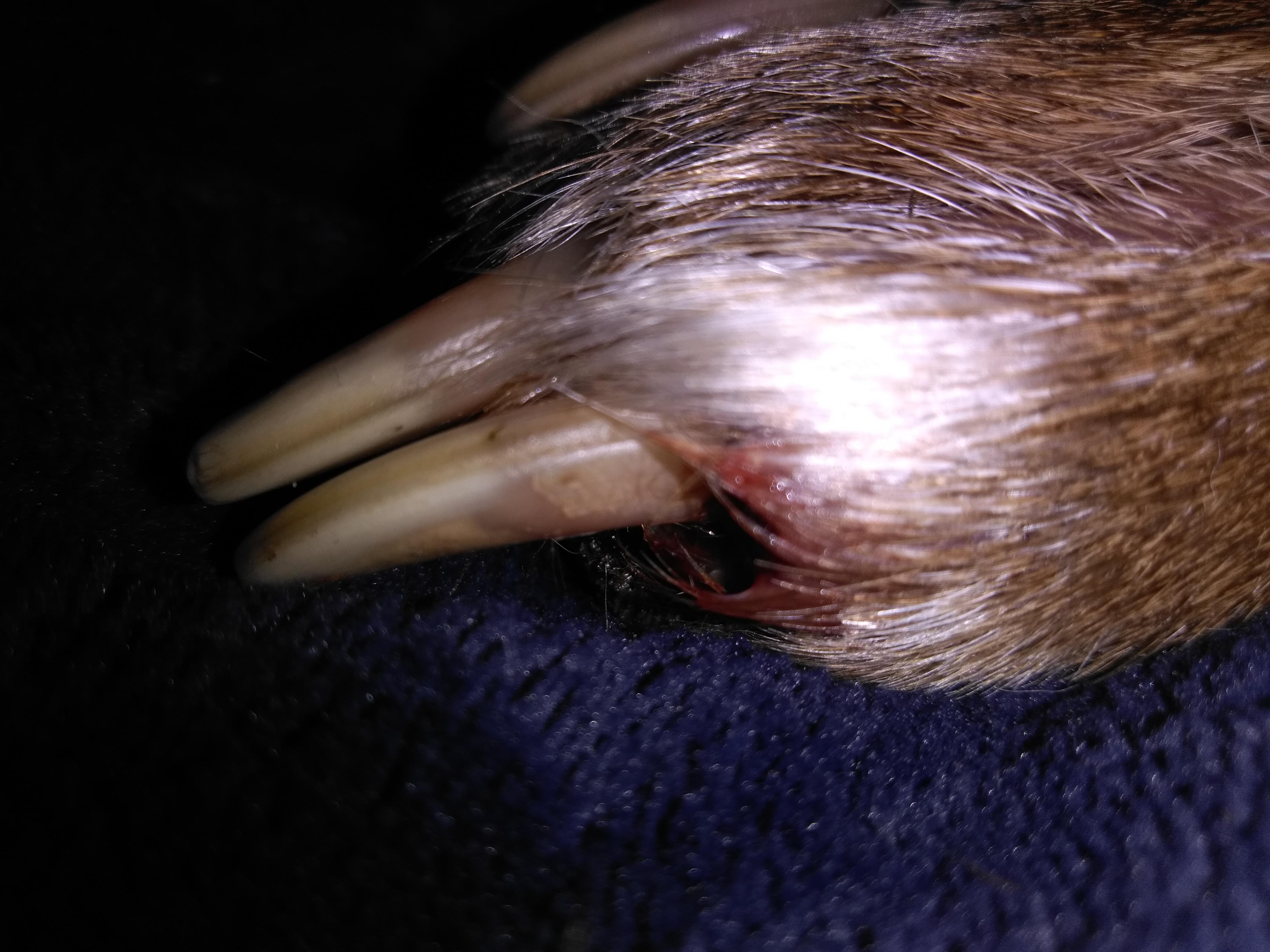 Question details sensitive content