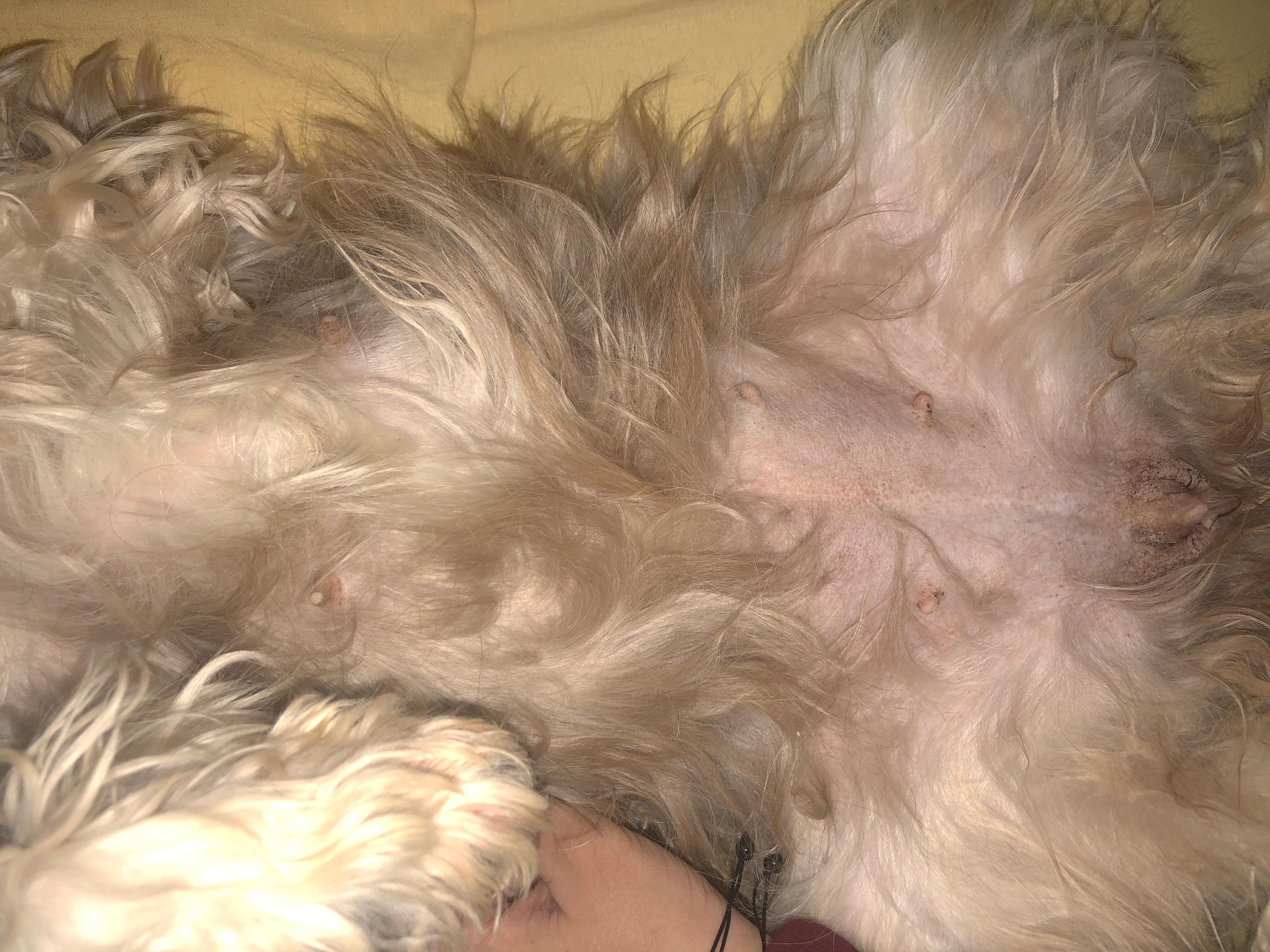 Question details sensitive content