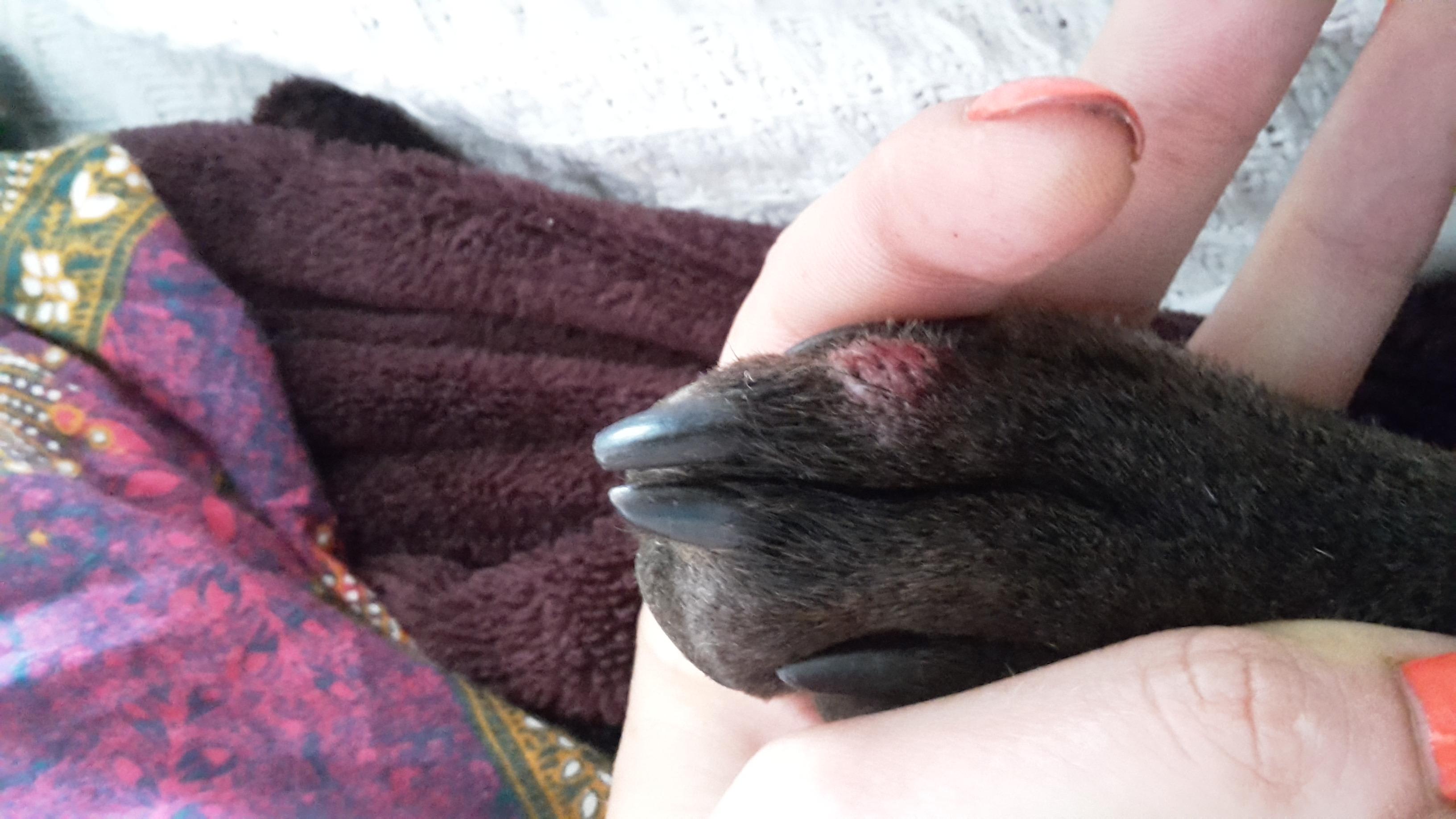 Question details sensitive content