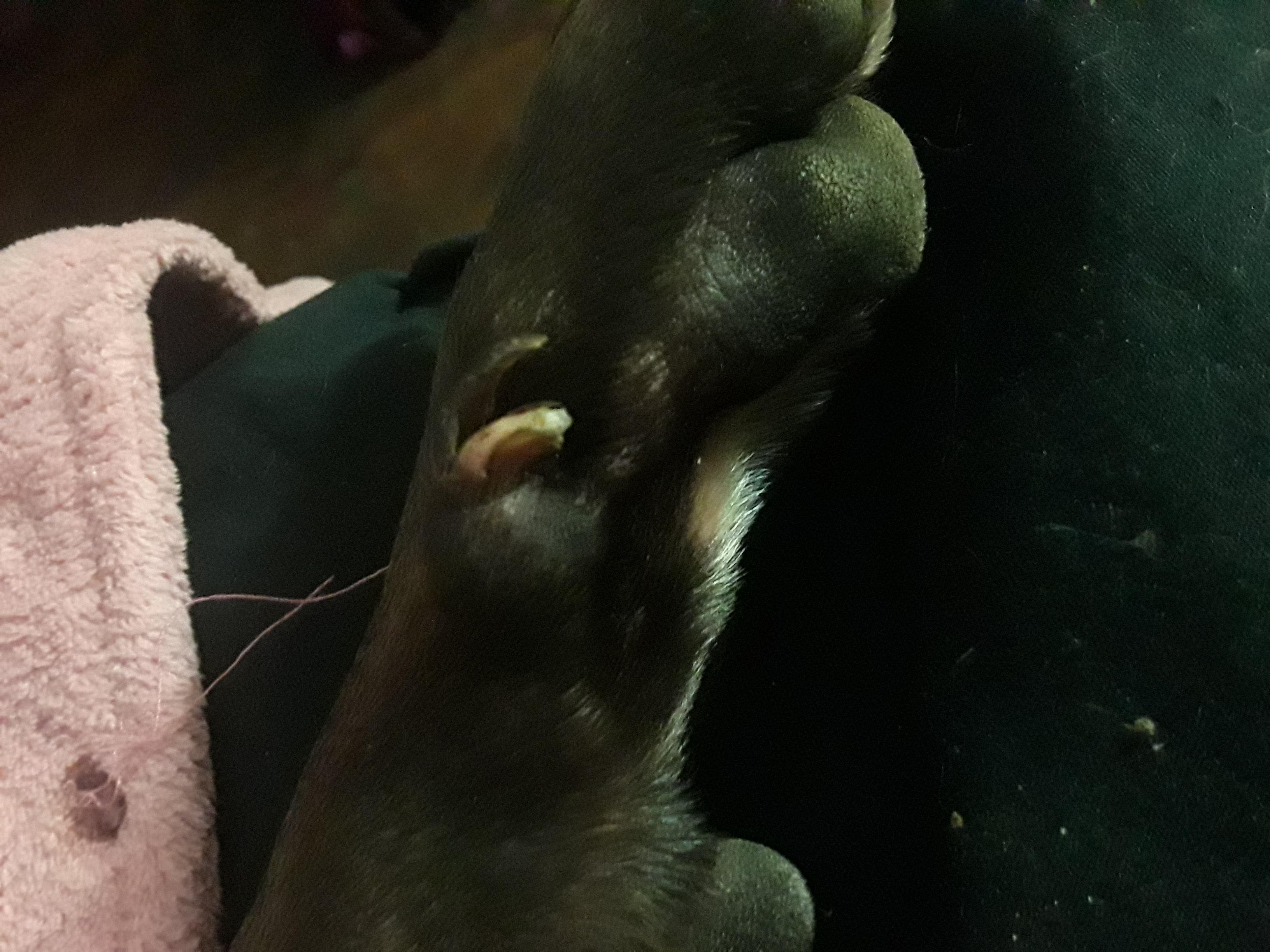 Question details sensitive content