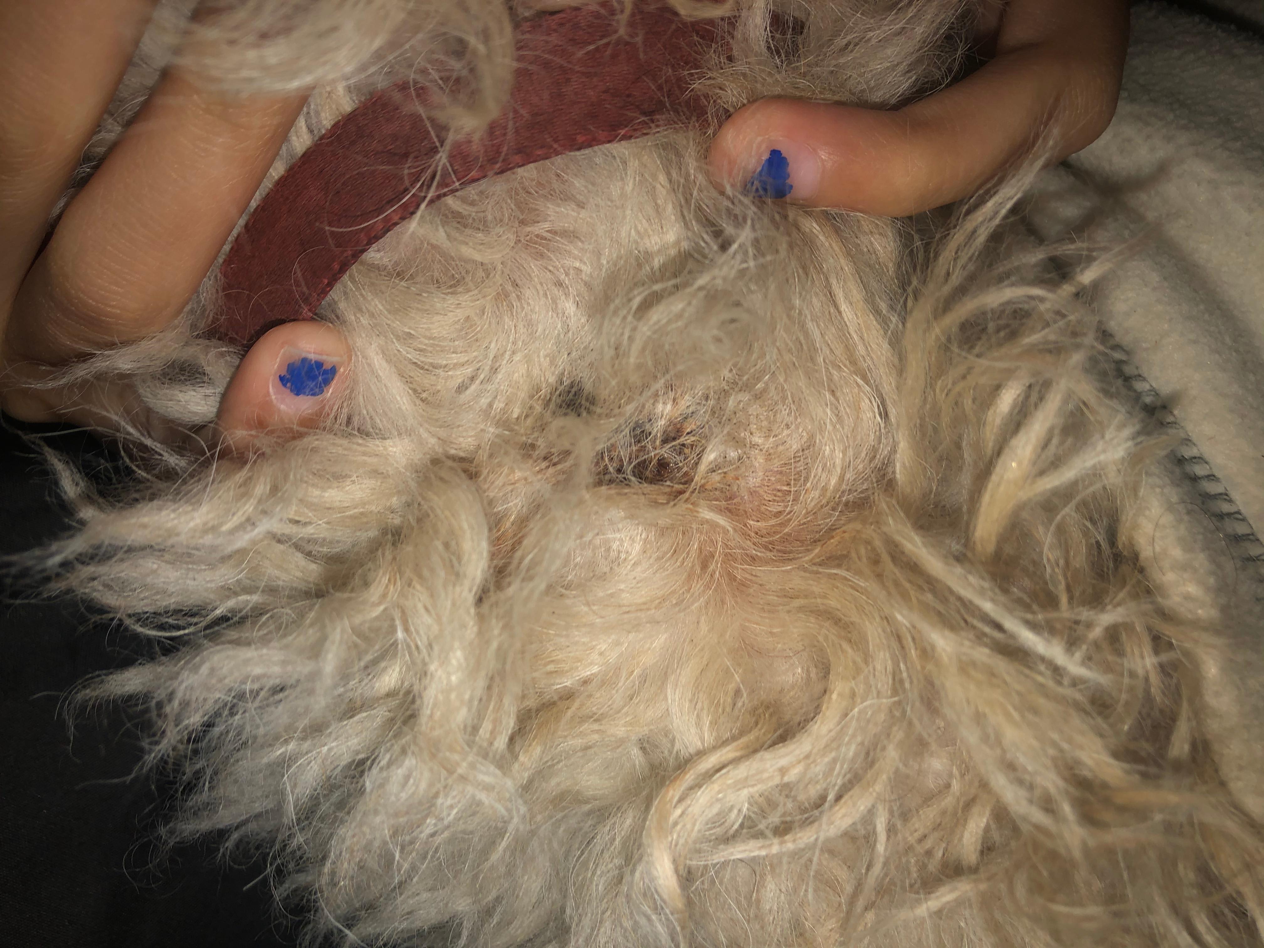 Question details sensitive content