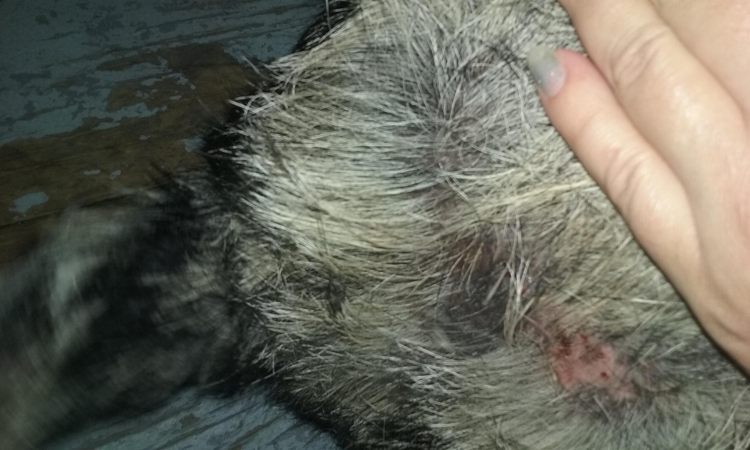 Question details sensitive content