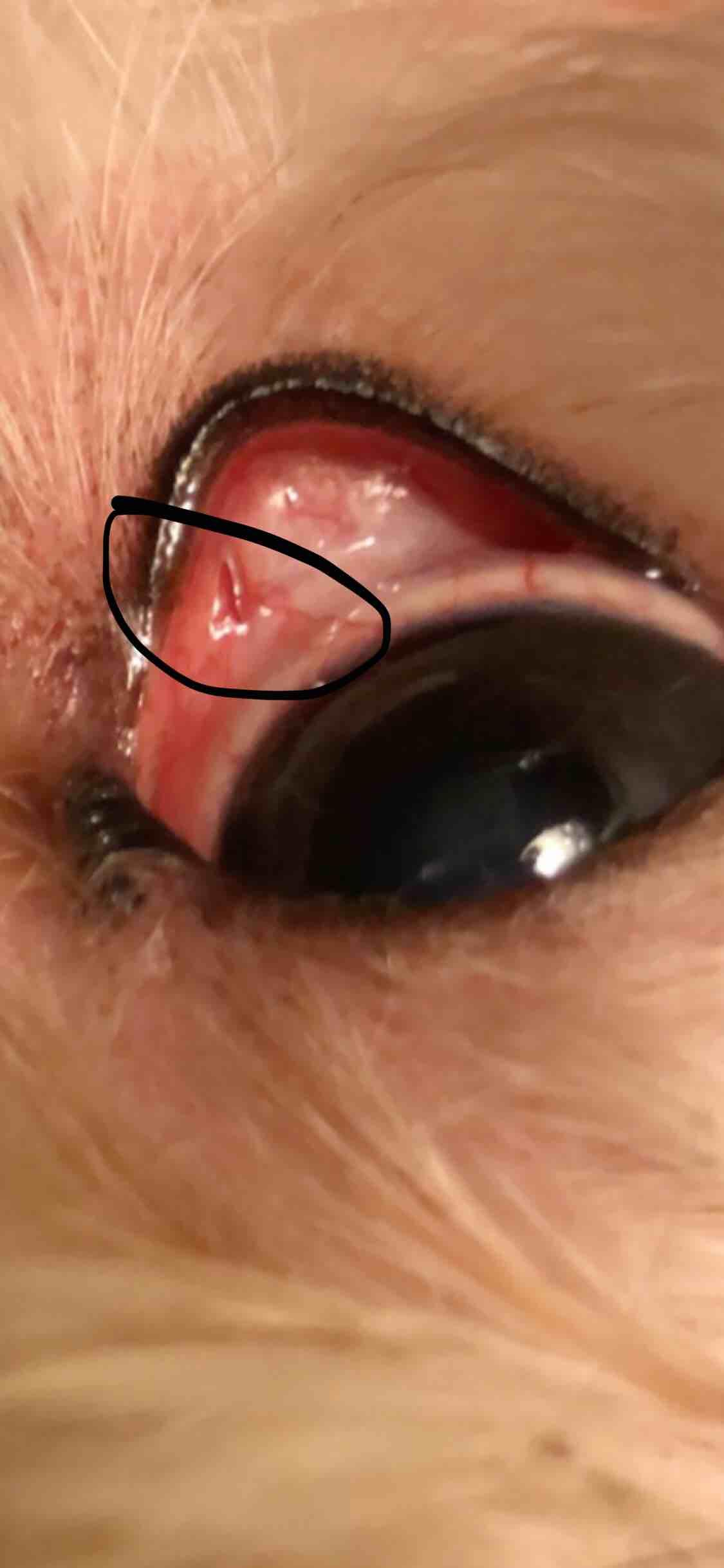 Question details sensitive content