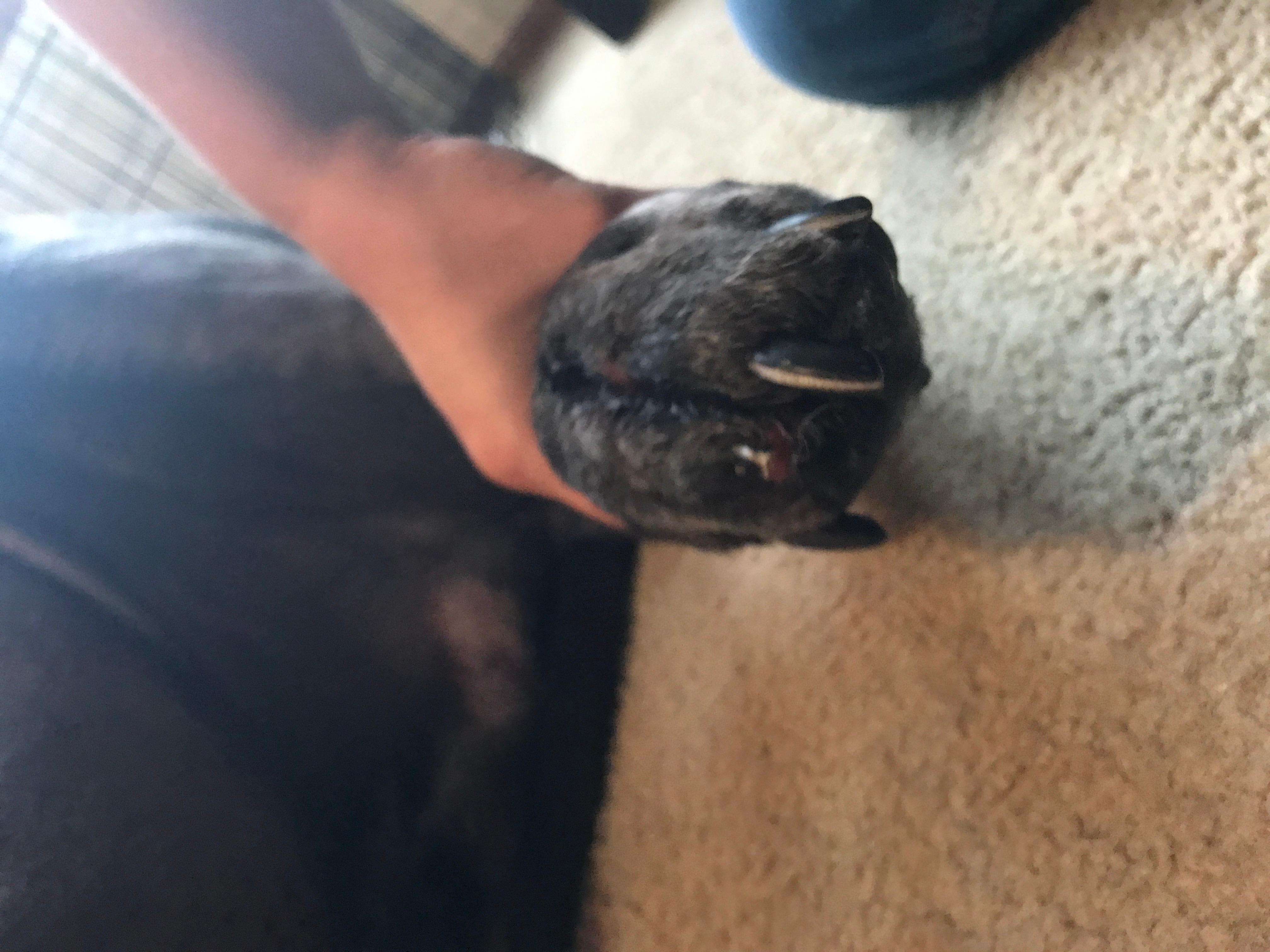 Question details sensitive content