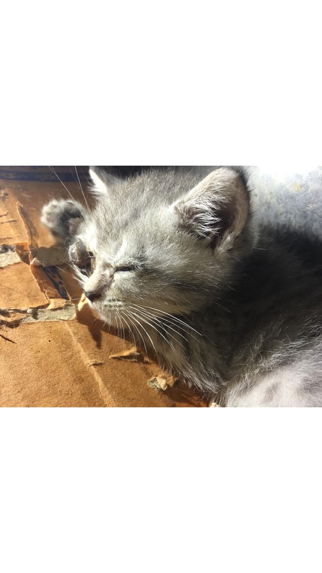 Question details sensitive content