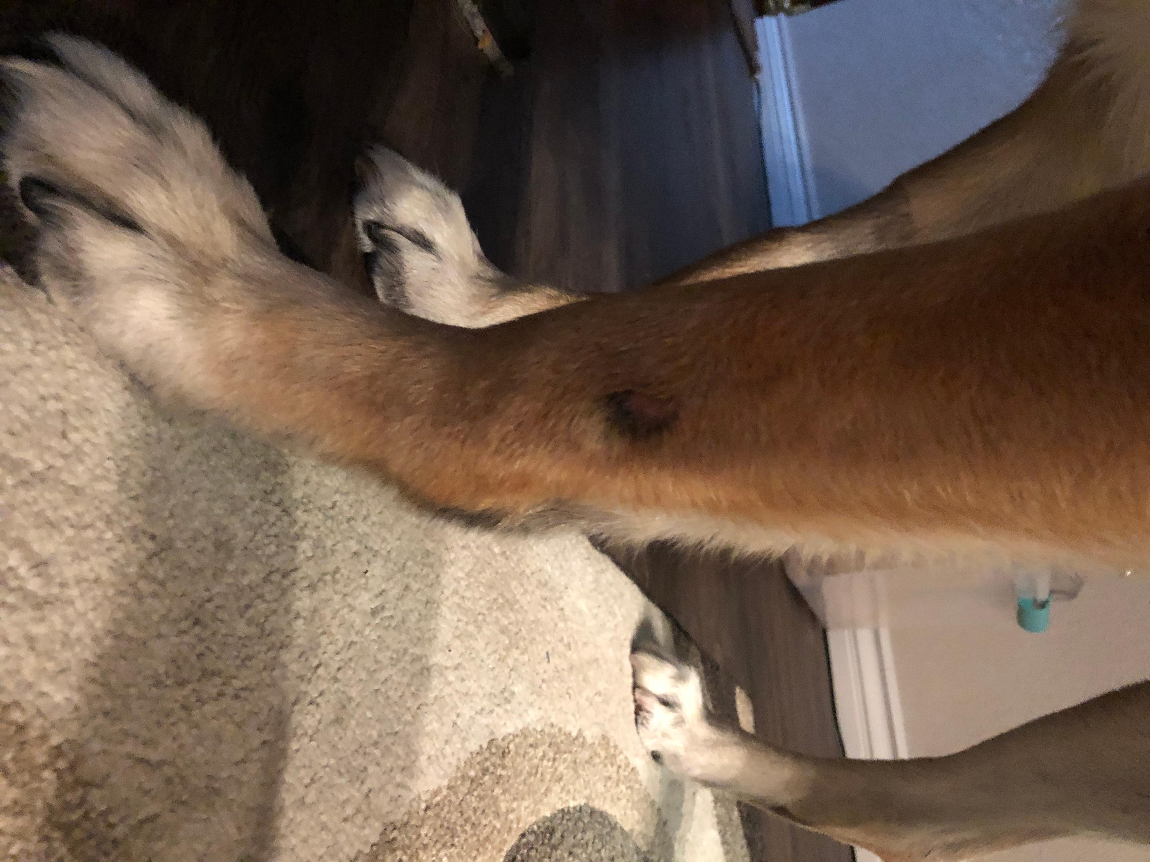 Question details sensitive content