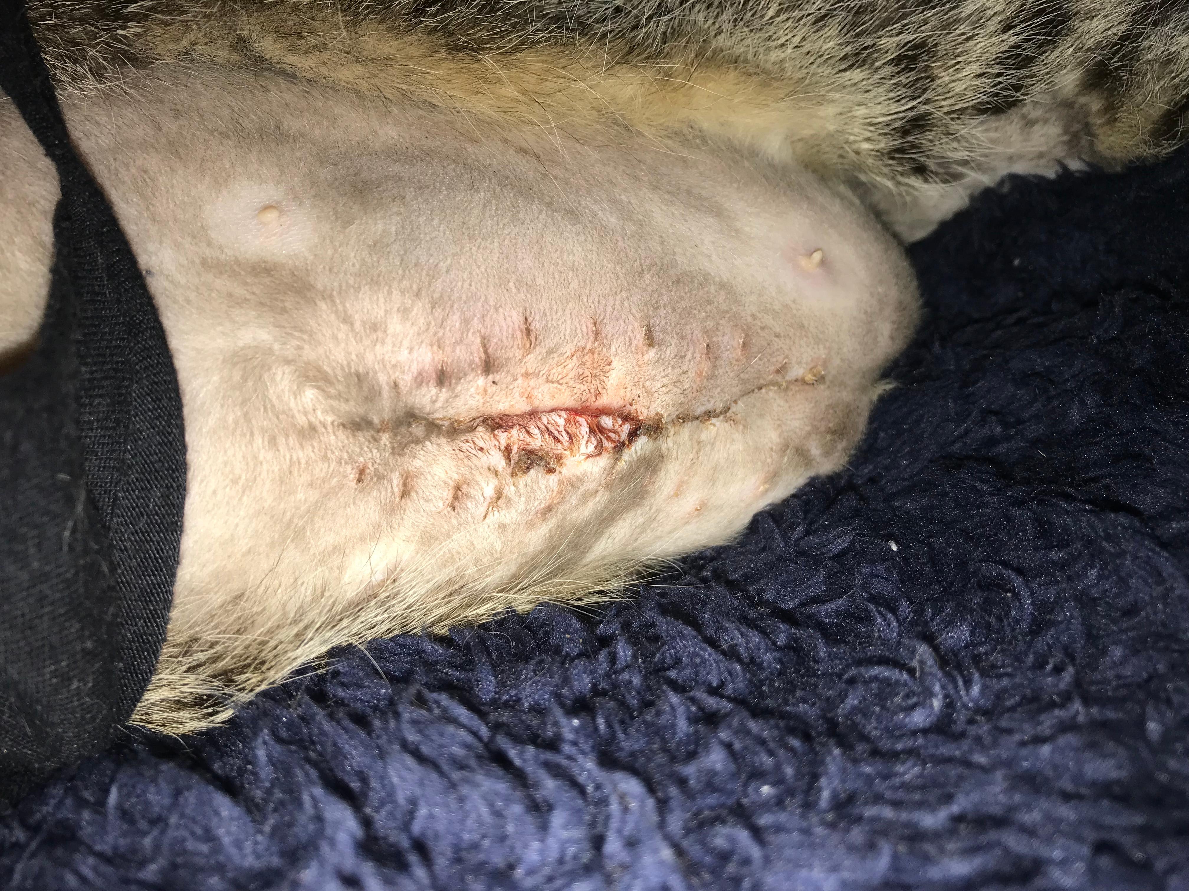 Question details sensitive content