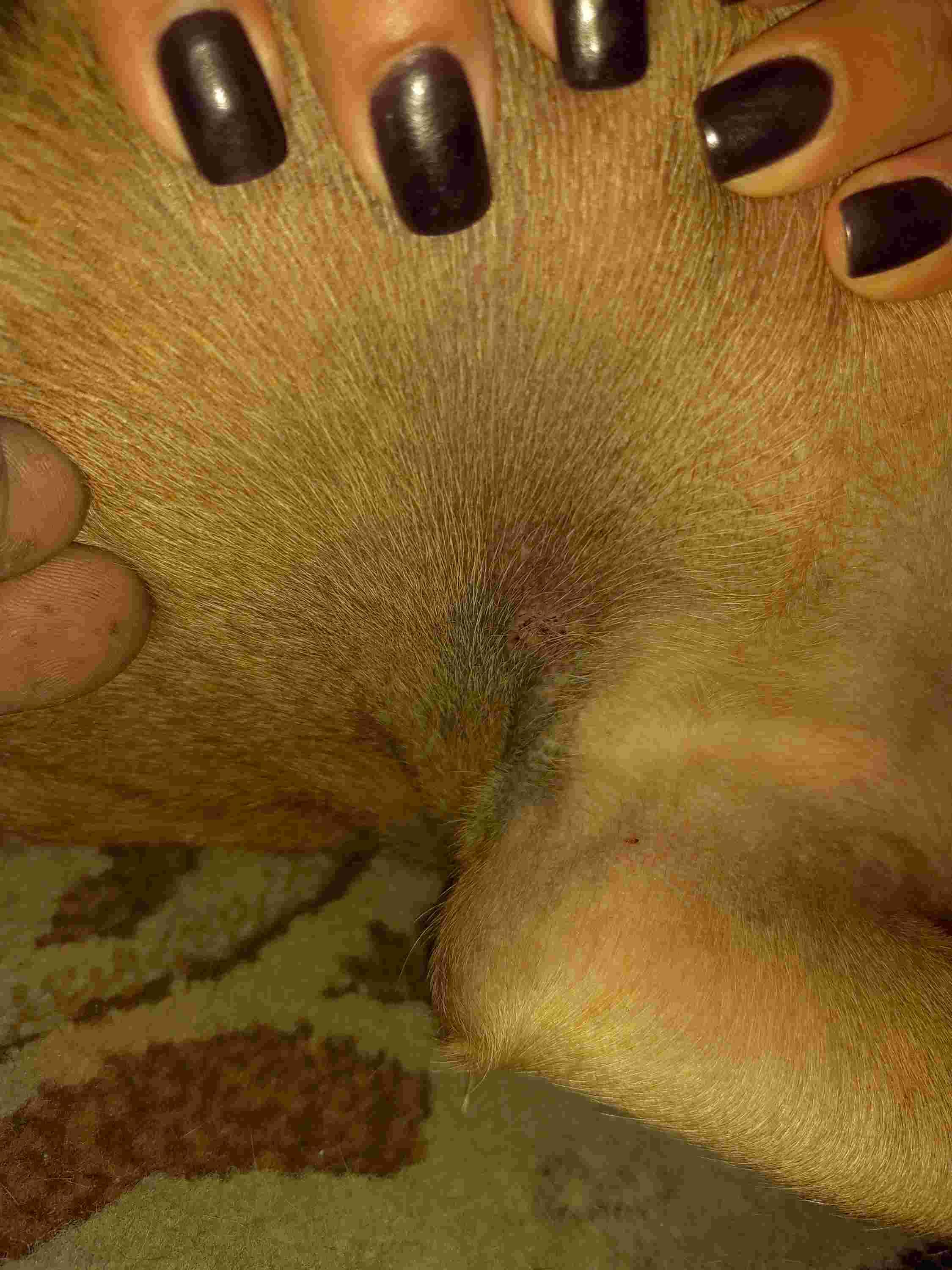 Question details sensitive content