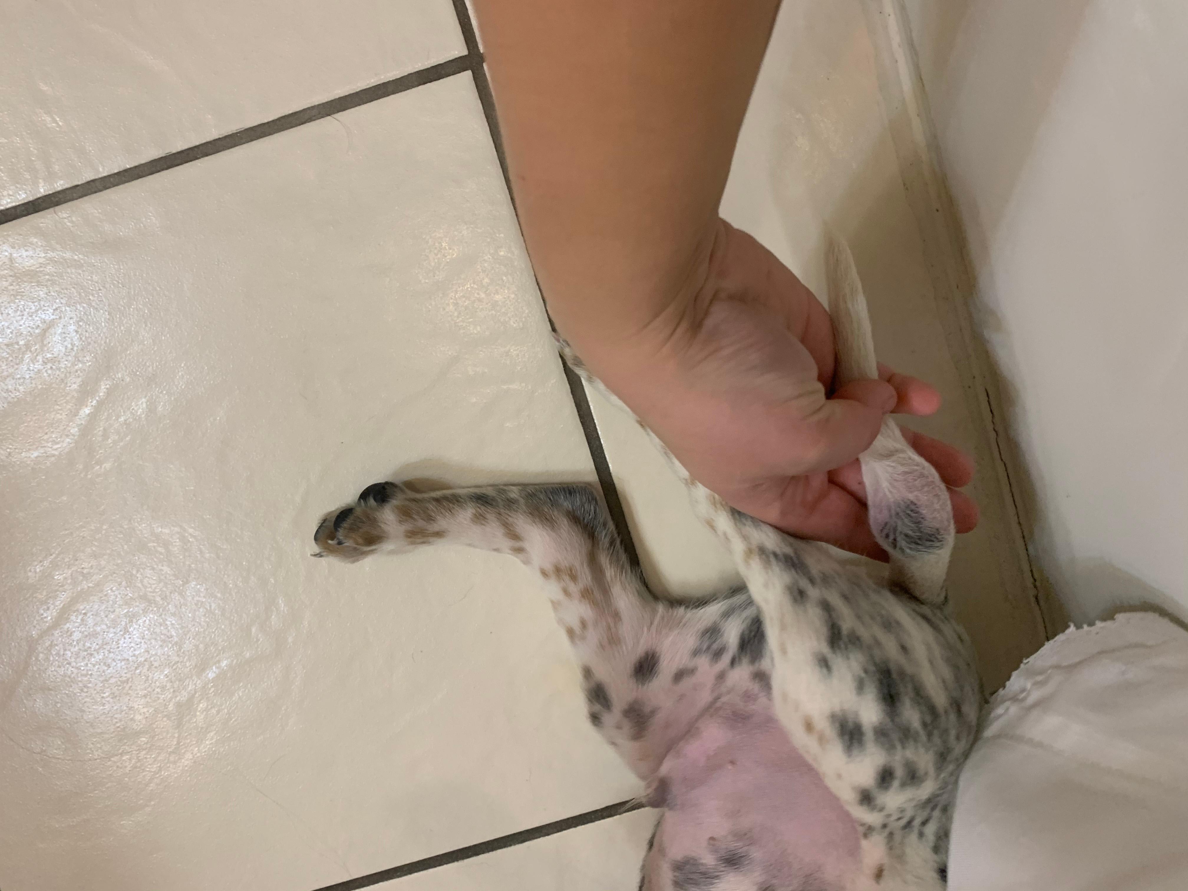 Question details sensitive content