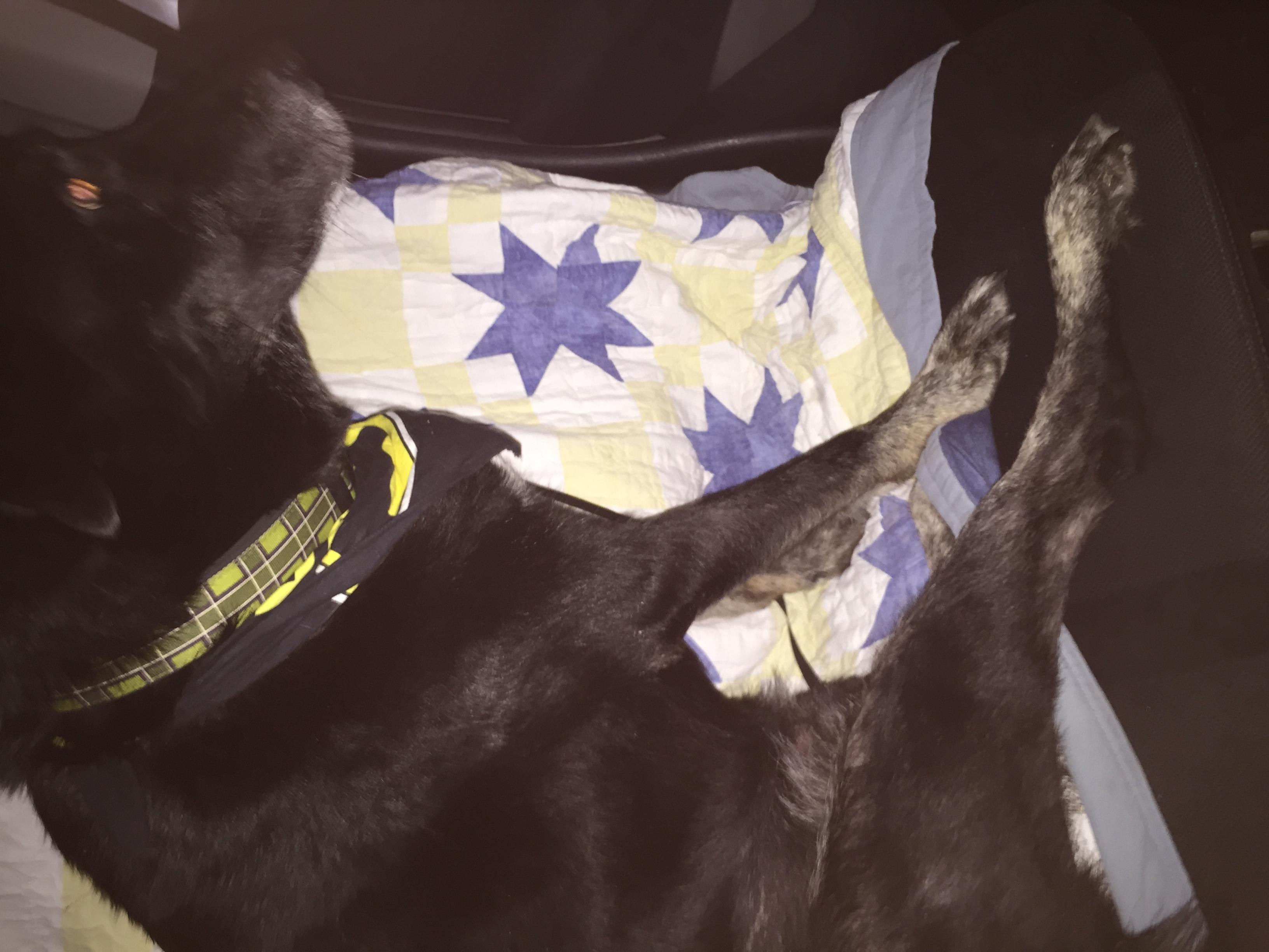 Question details sensitive content