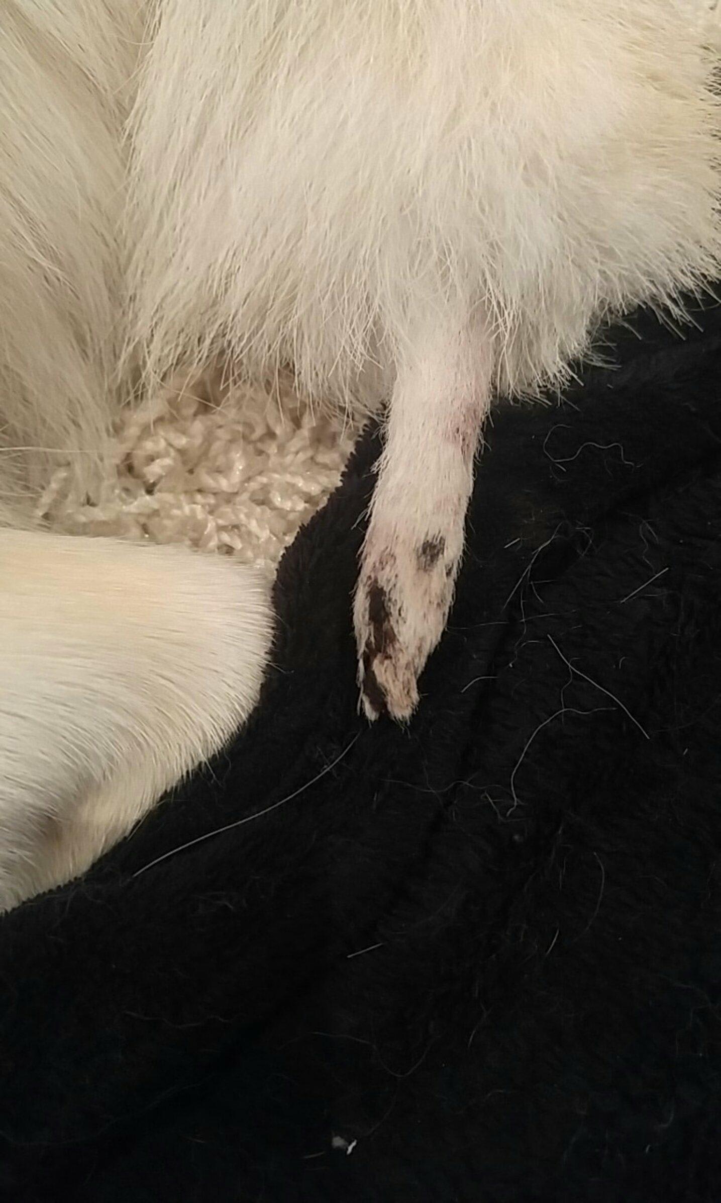 Question details sensitive content