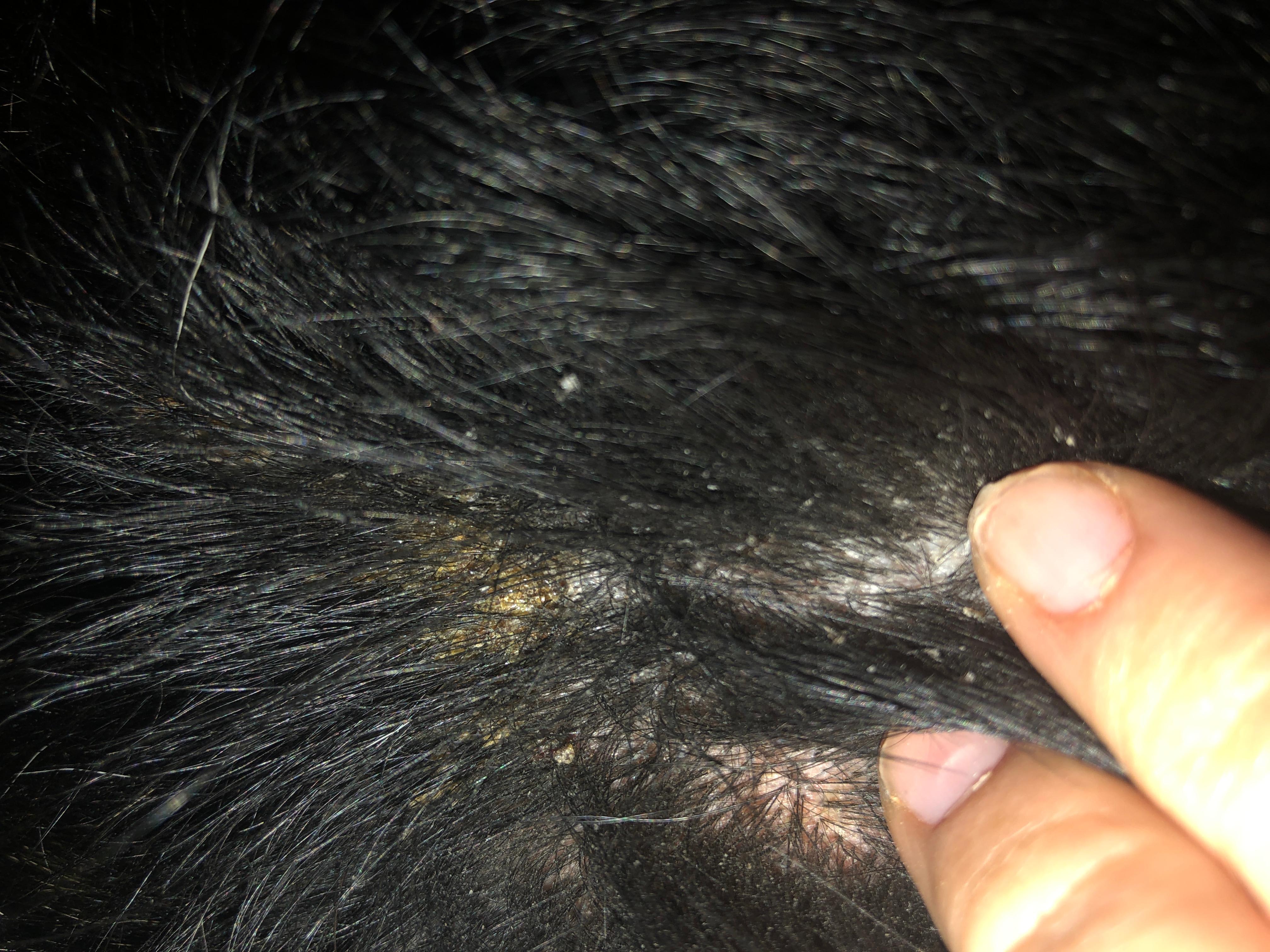 Question details sensitive content