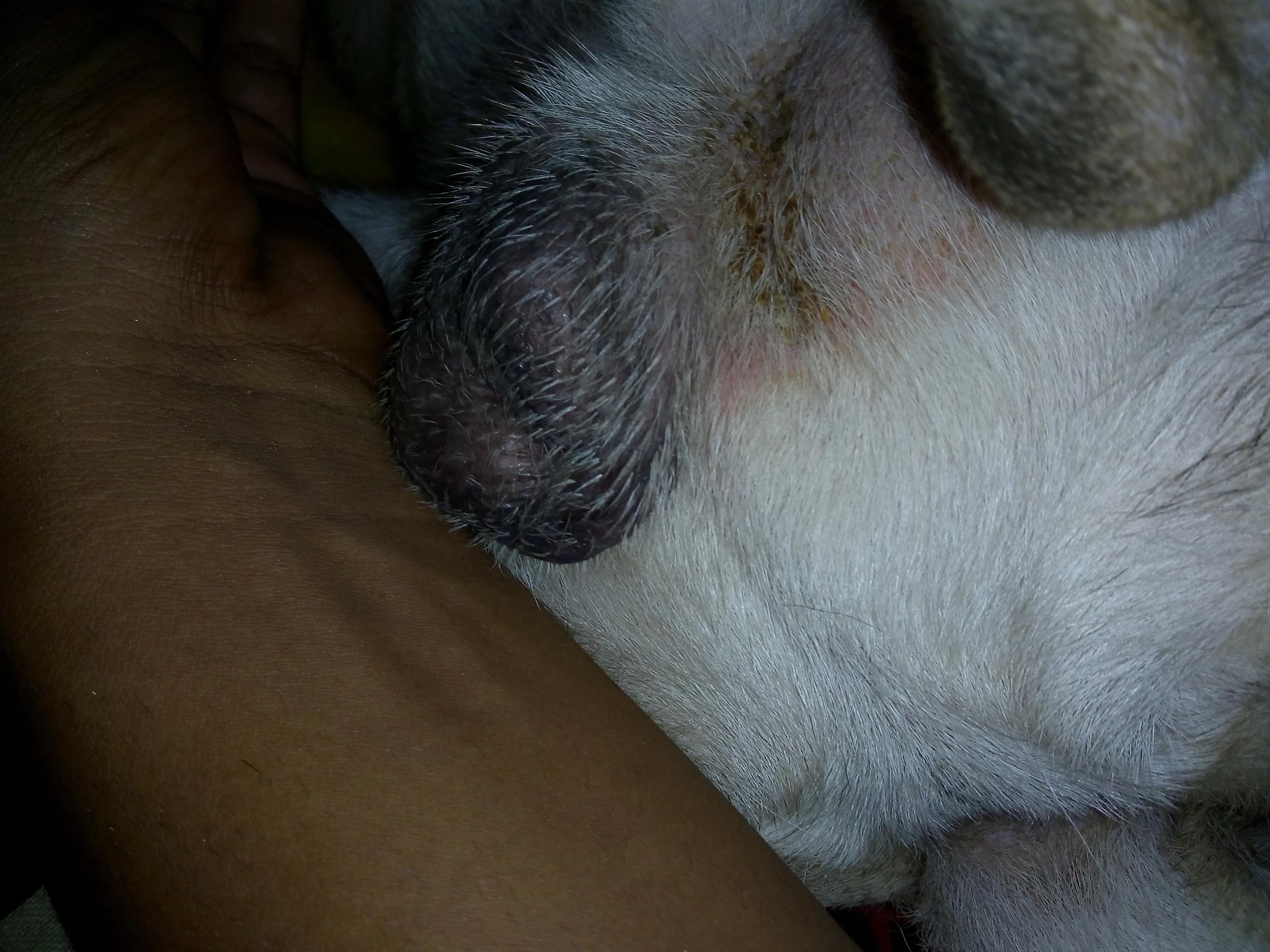 Question details sensitive content