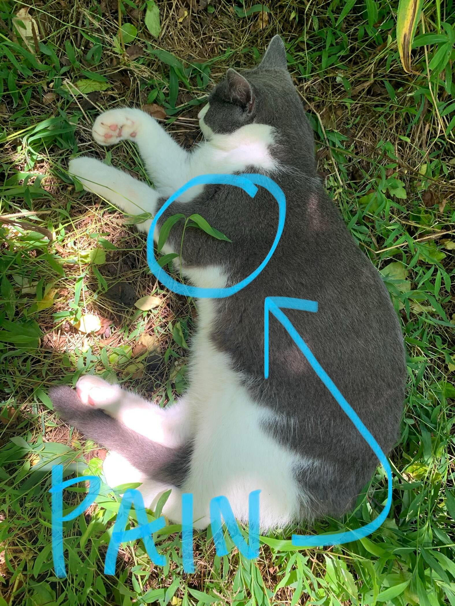 Question details sensitive content