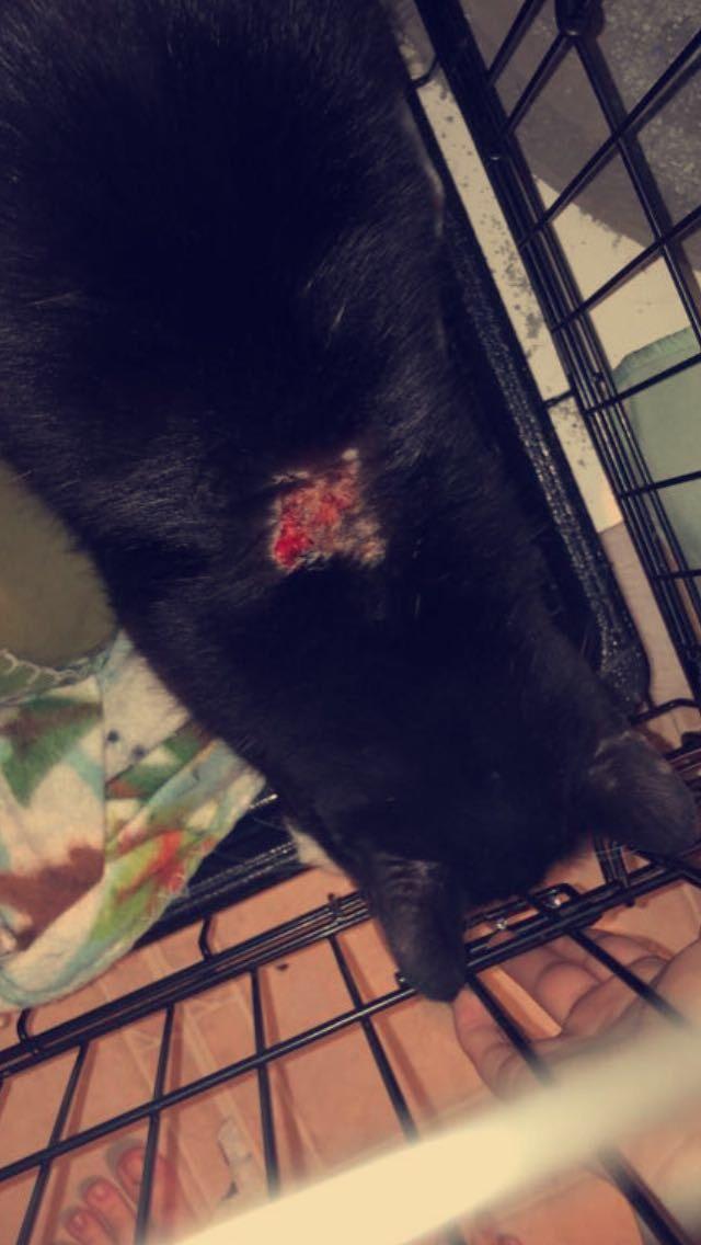 Question details sensitive content