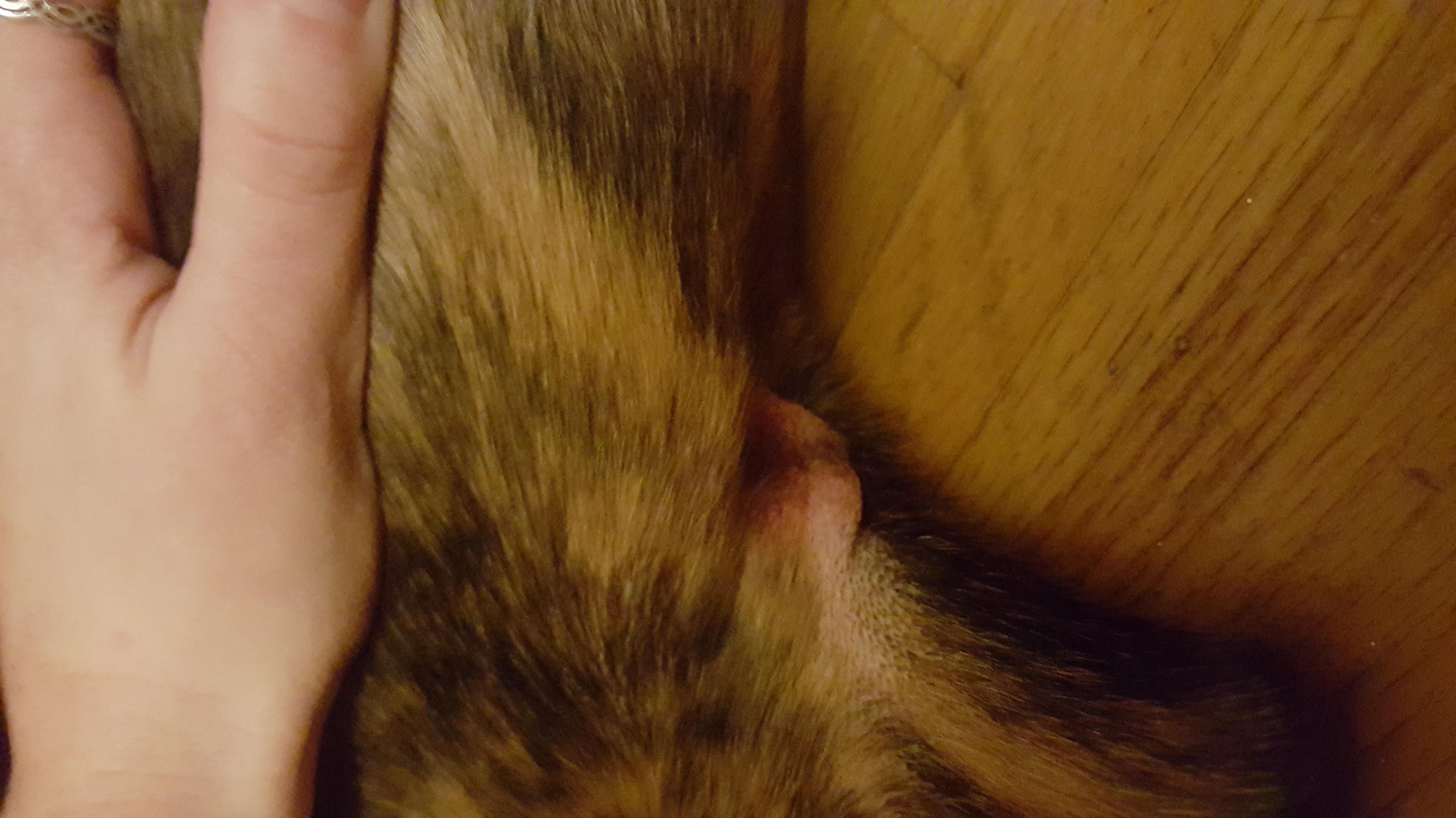 Question details sensitive content