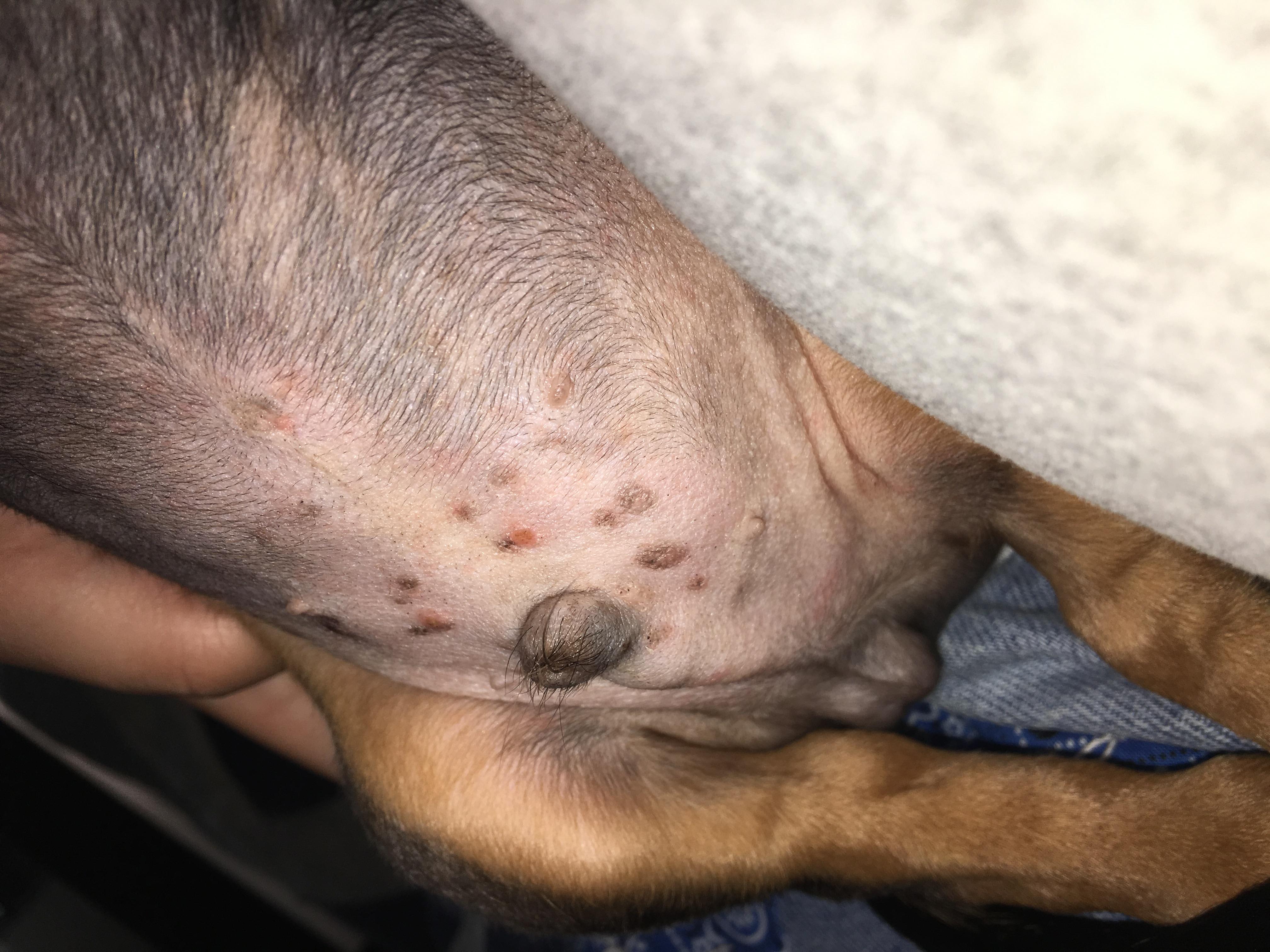 Question details sensitive content