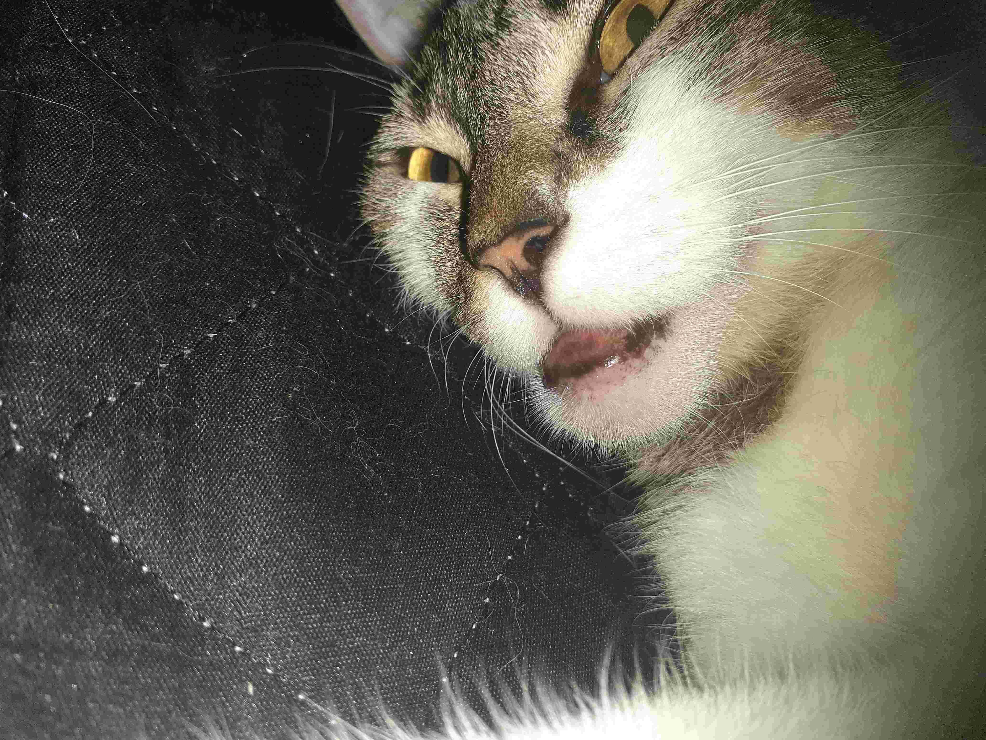 Question details sensitive content